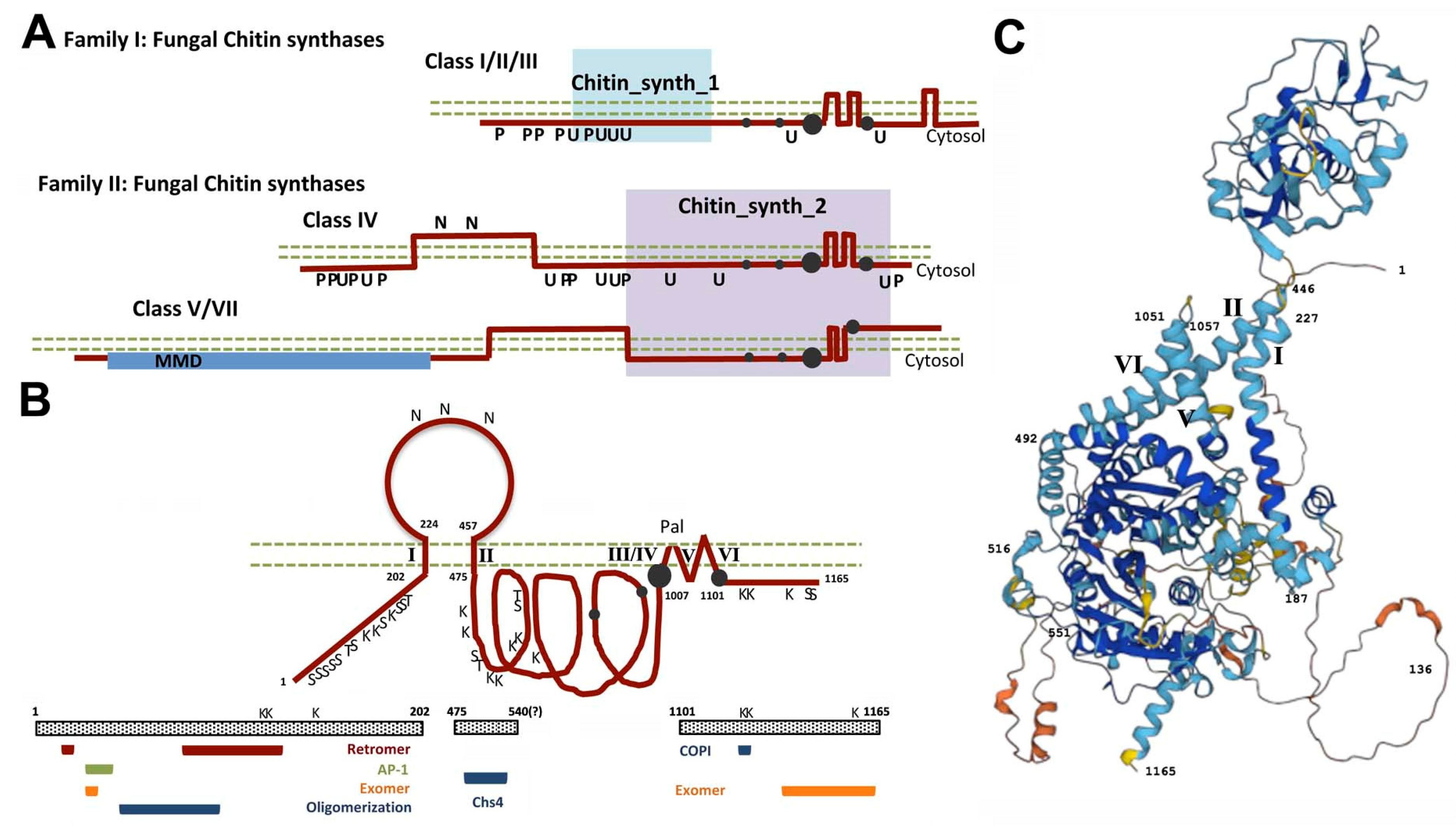 Ijms 23 12251 g001 Ijms 23 12251 g001