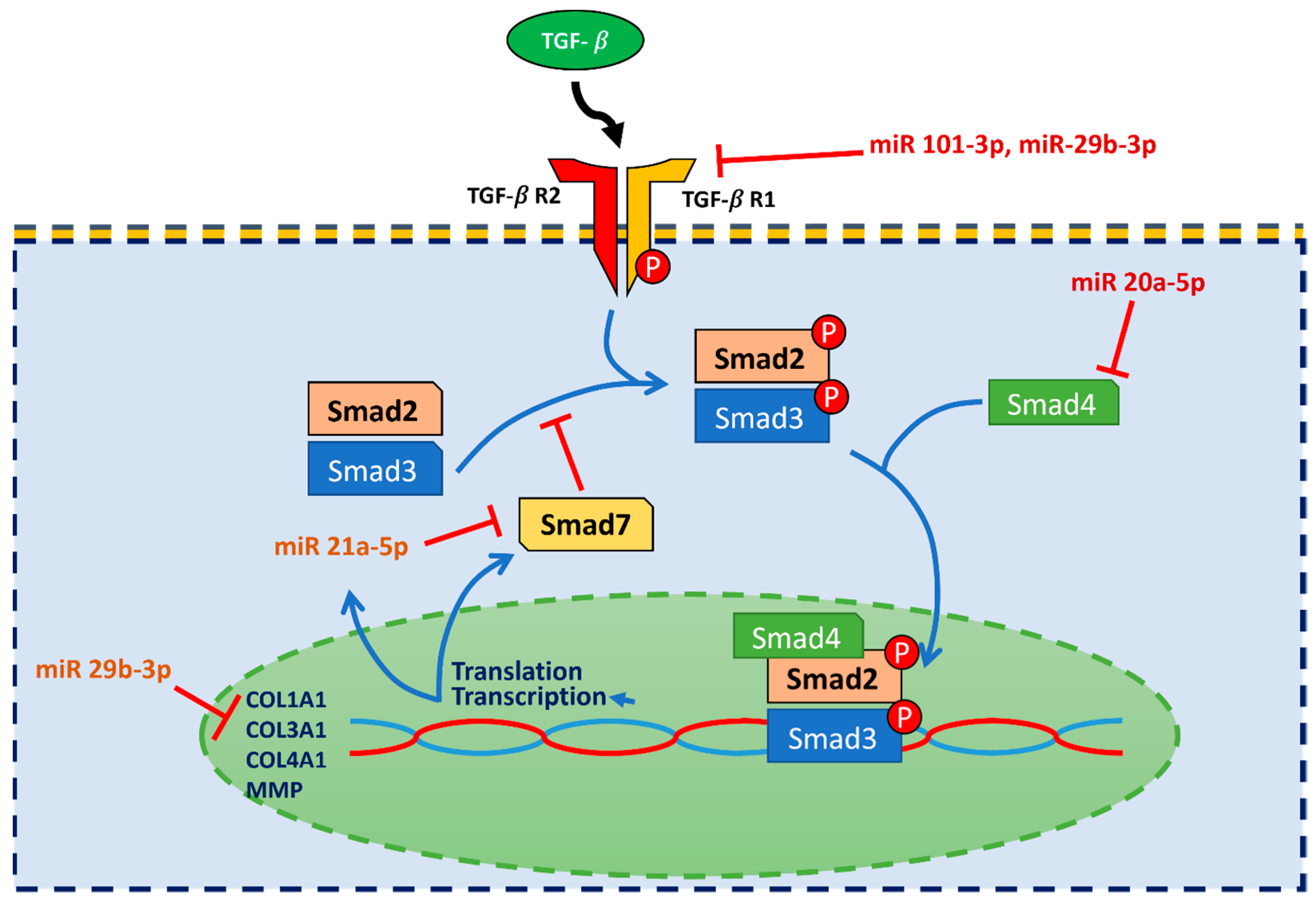 Ijms 23 12253 g002 Ijms 23 12253 g002