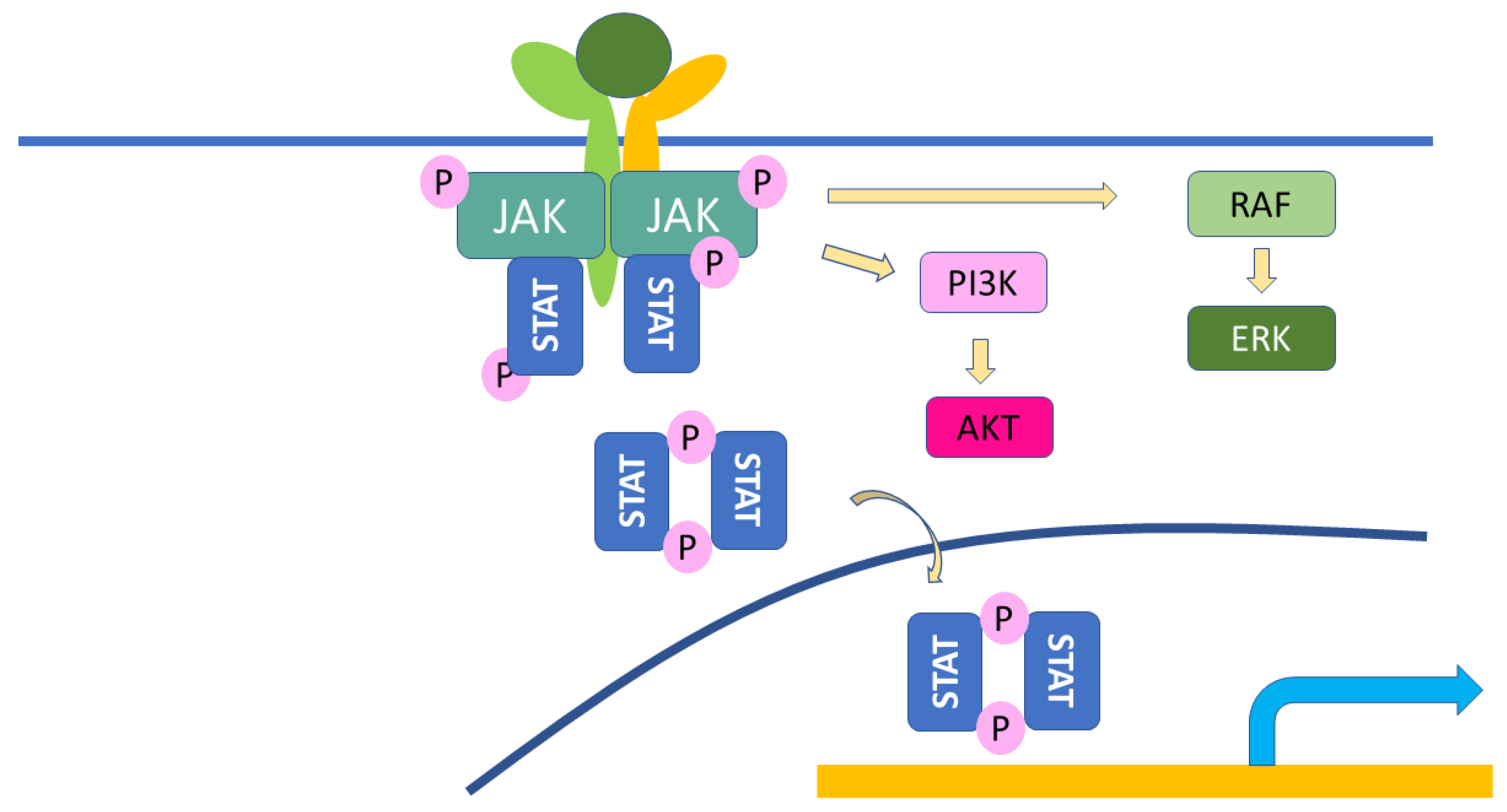 Ijms 23 12260 g004 Ijms 23 12260 g004