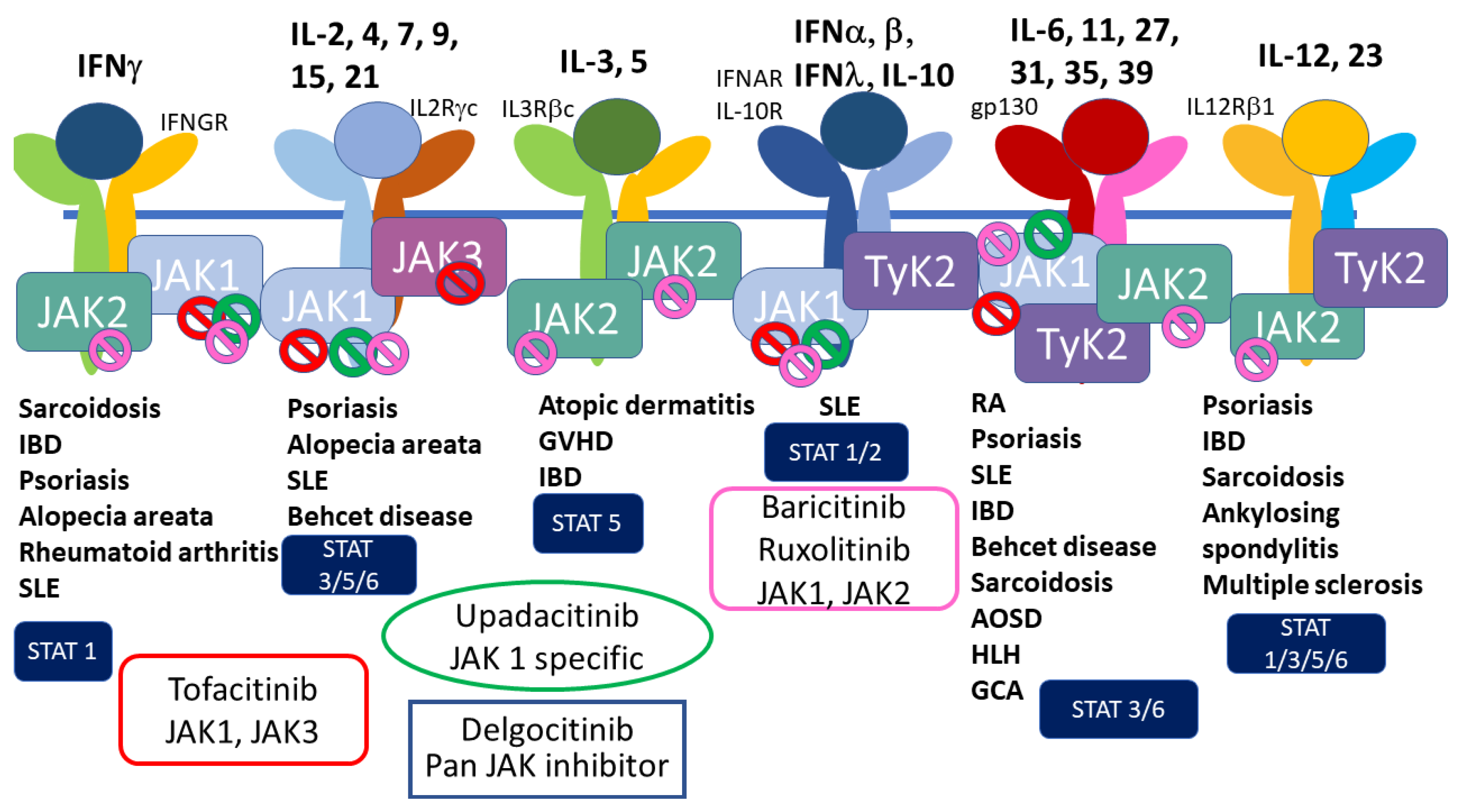 Ijms 23 12260 g005 Ijms 23 12260 g005
