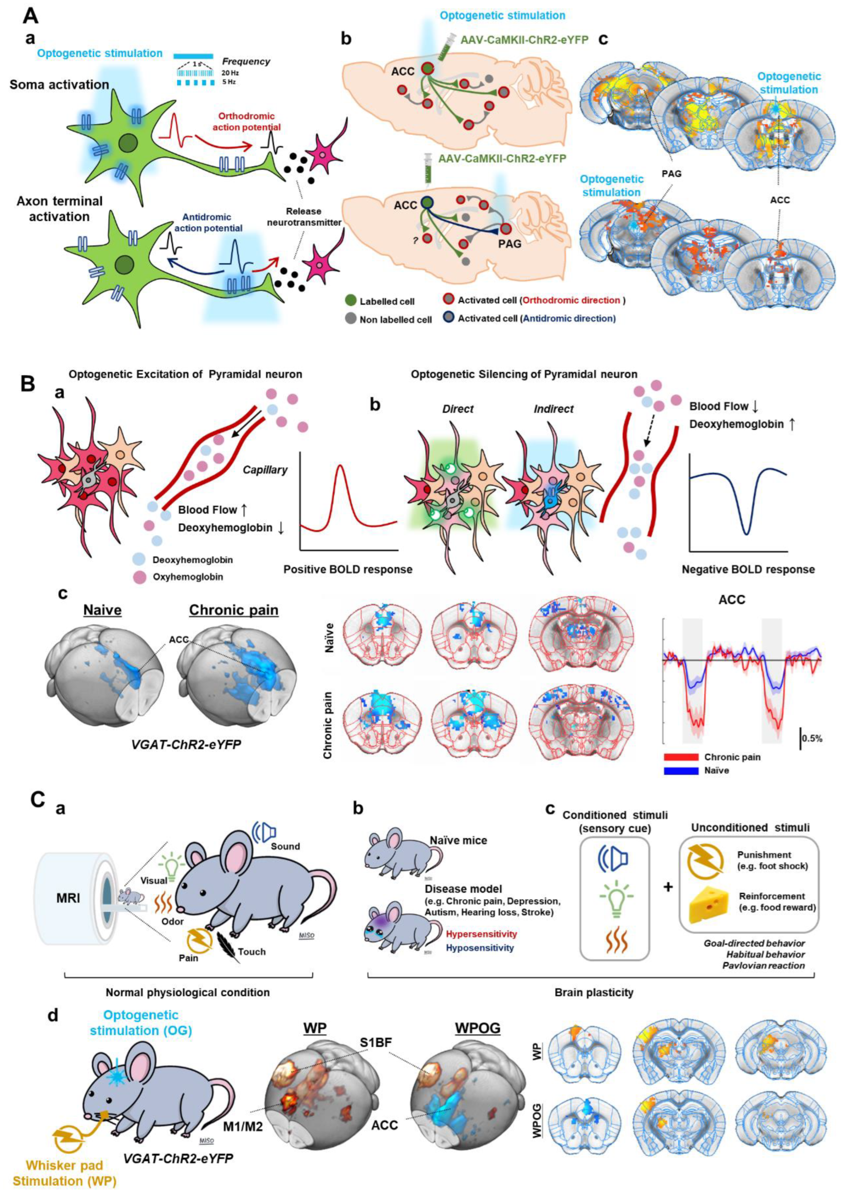 Ijms 23 12268 g002 Ijms 23 12268 g002