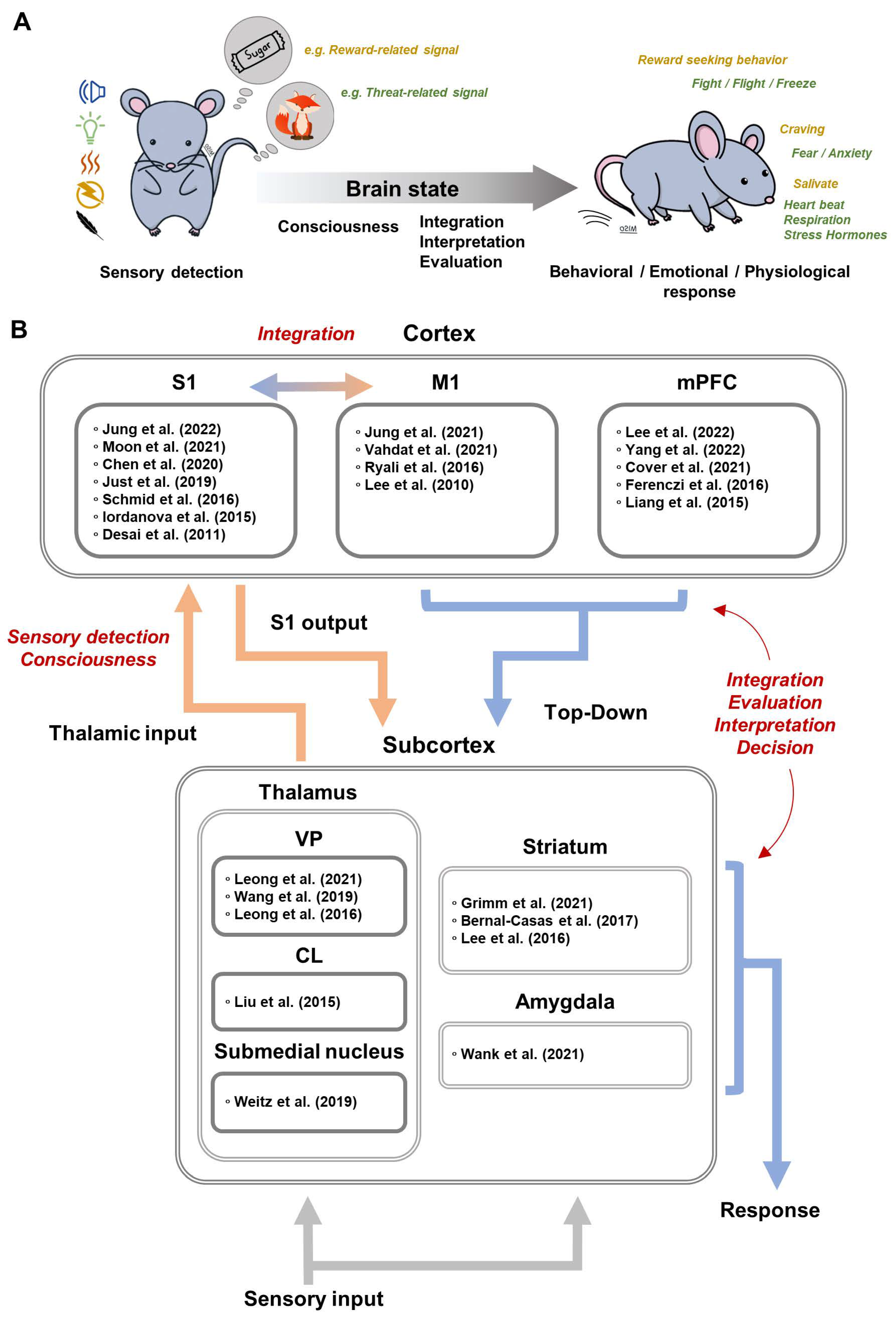Ijms 23 12268 g003 Ijms 23 12268 g003