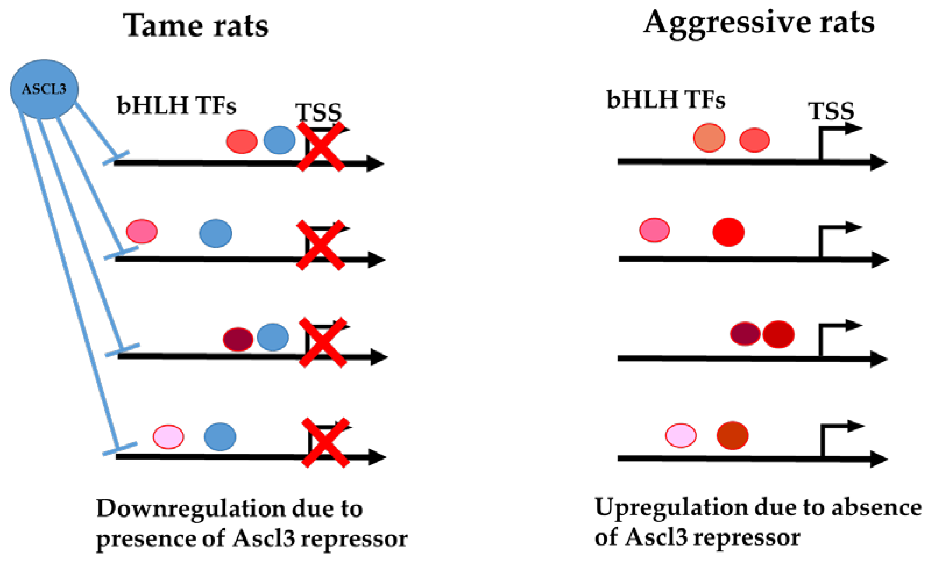 Ijms 23 12269 g003 Ijms 23 12269 g003