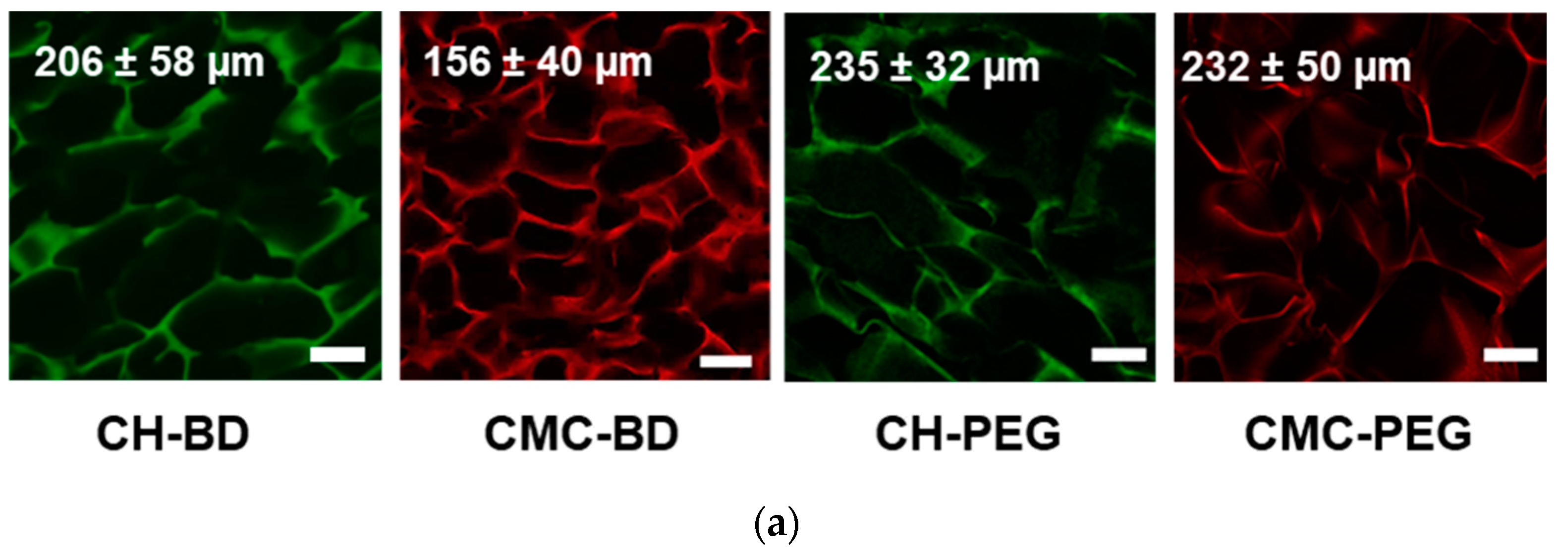Ijms 23 12276 g001a Ijms 23 12276 g001a