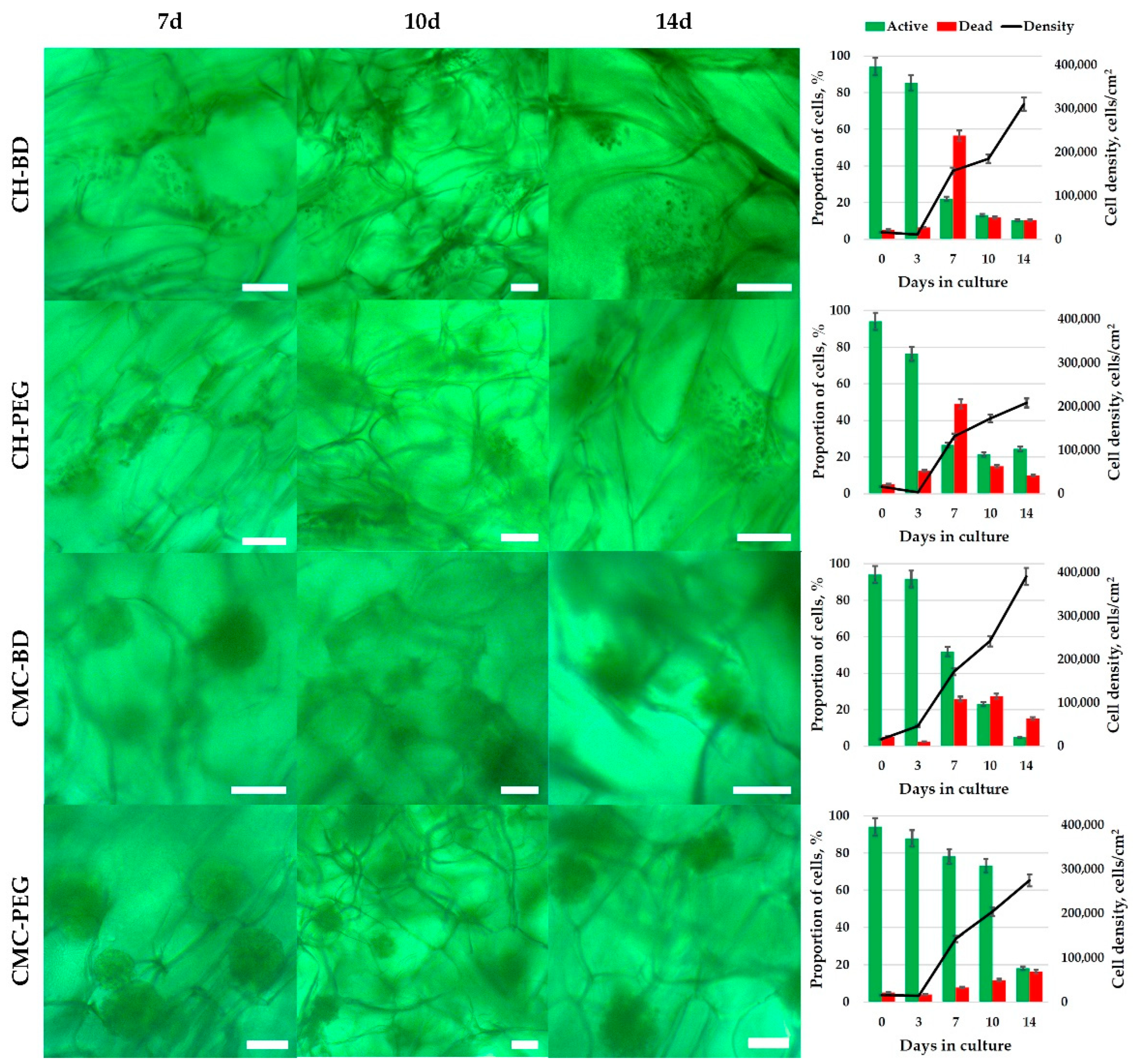 Ijms 23 12276 g002 Ijms 23 12276 g002