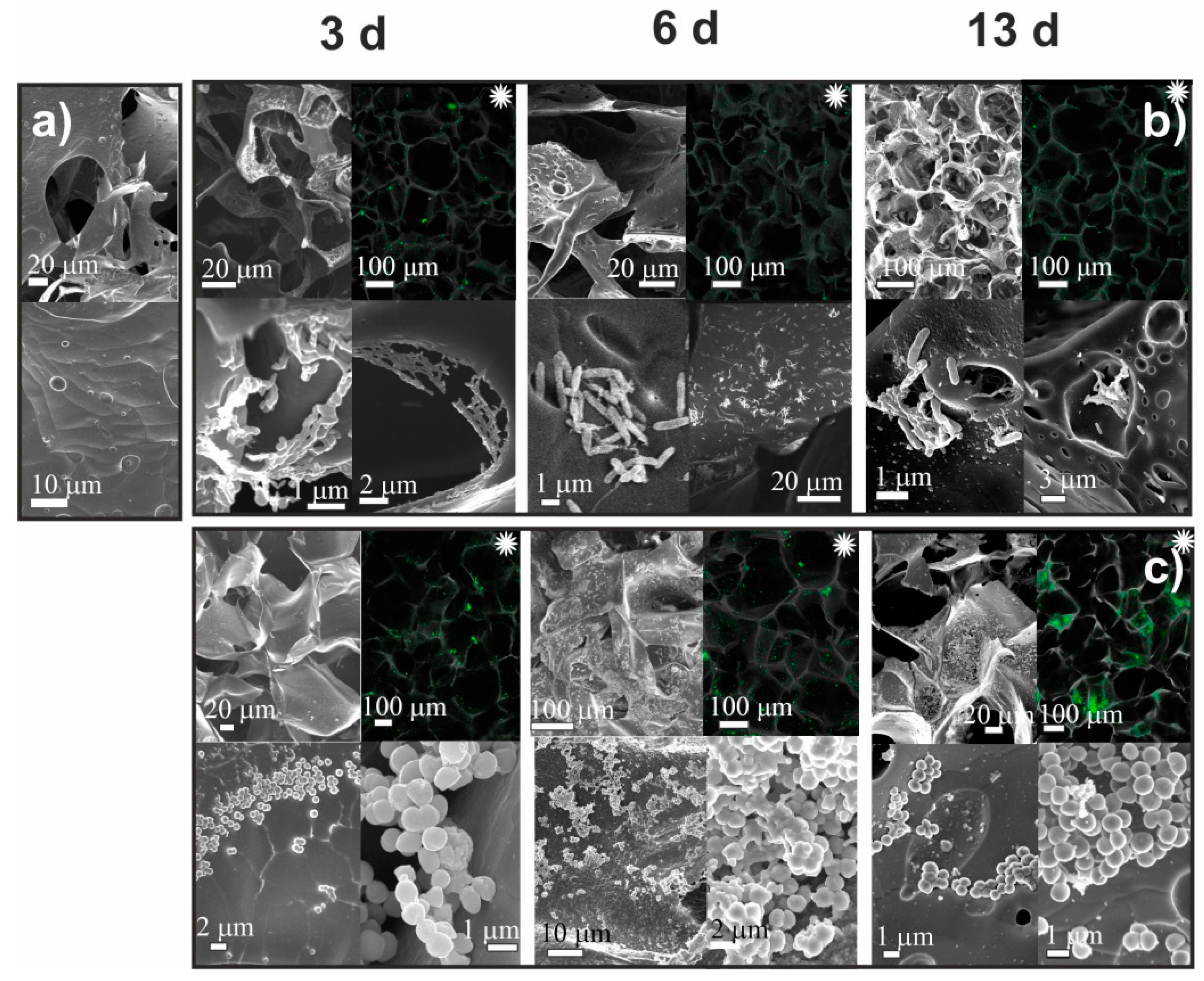 Ijms 23 12276 g005 Ijms 23 12276 g005
