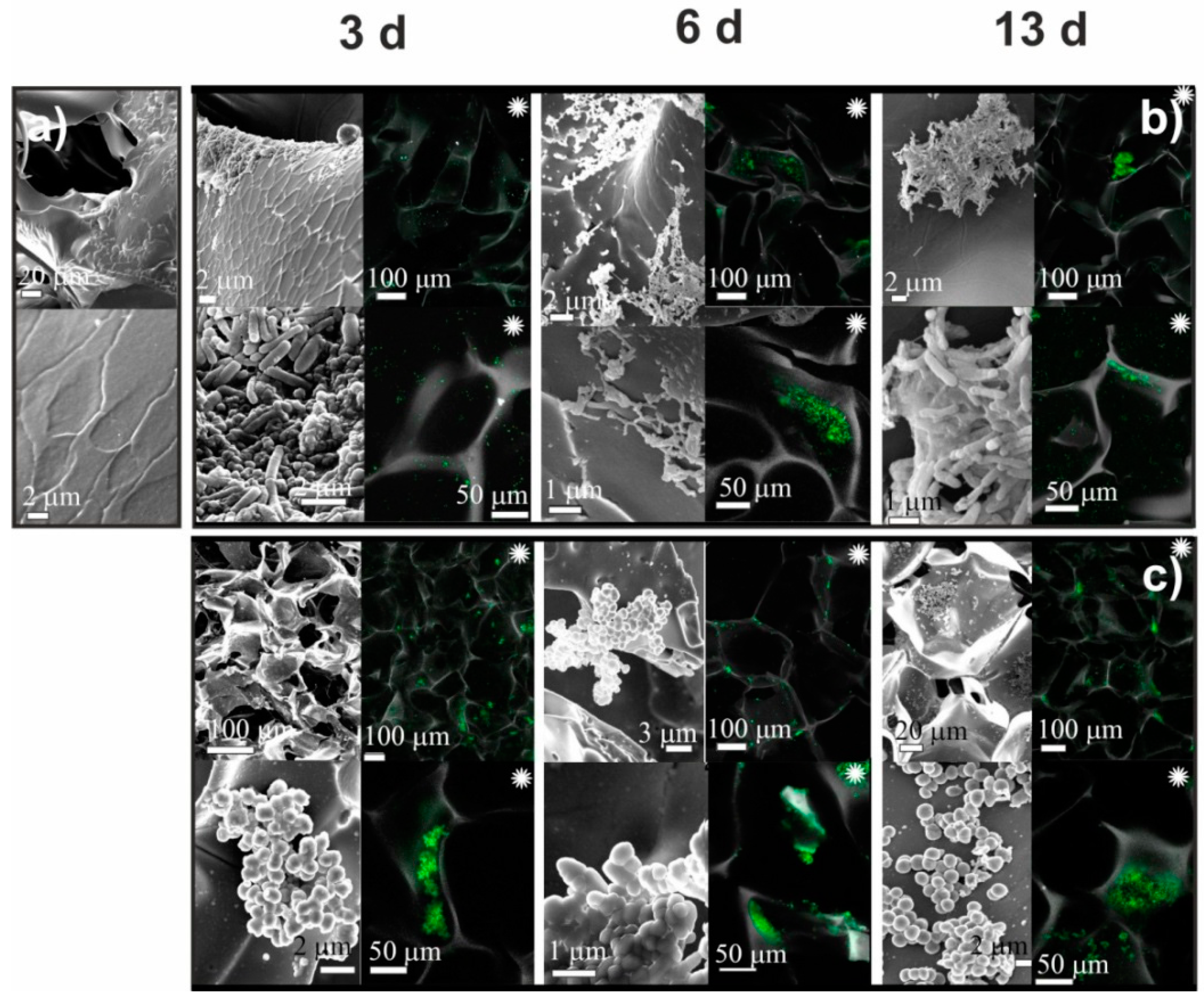 Ijms 23 12276 g006 Ijms 23 12276 g006