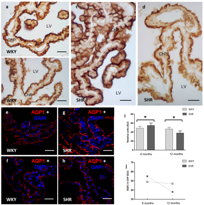 Ijms 23 12277 g001 Ijms 23 12277 g001