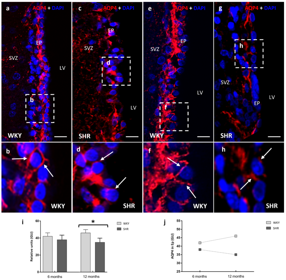 Ijms 23 12277 g002 Ijms 23 12277 g002