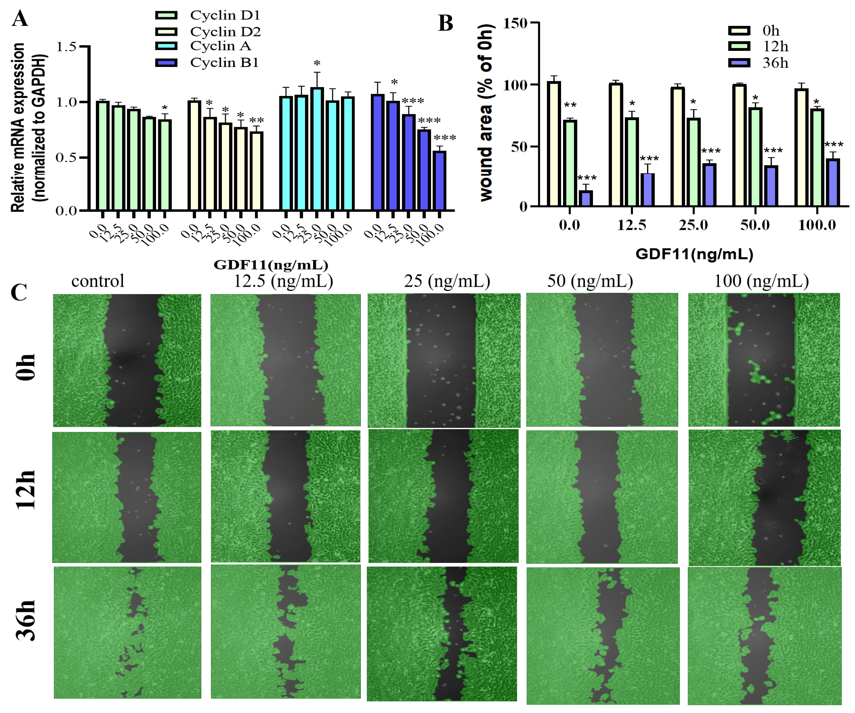 Ijms 23 12279 g003 Ijms 23 12279 g003