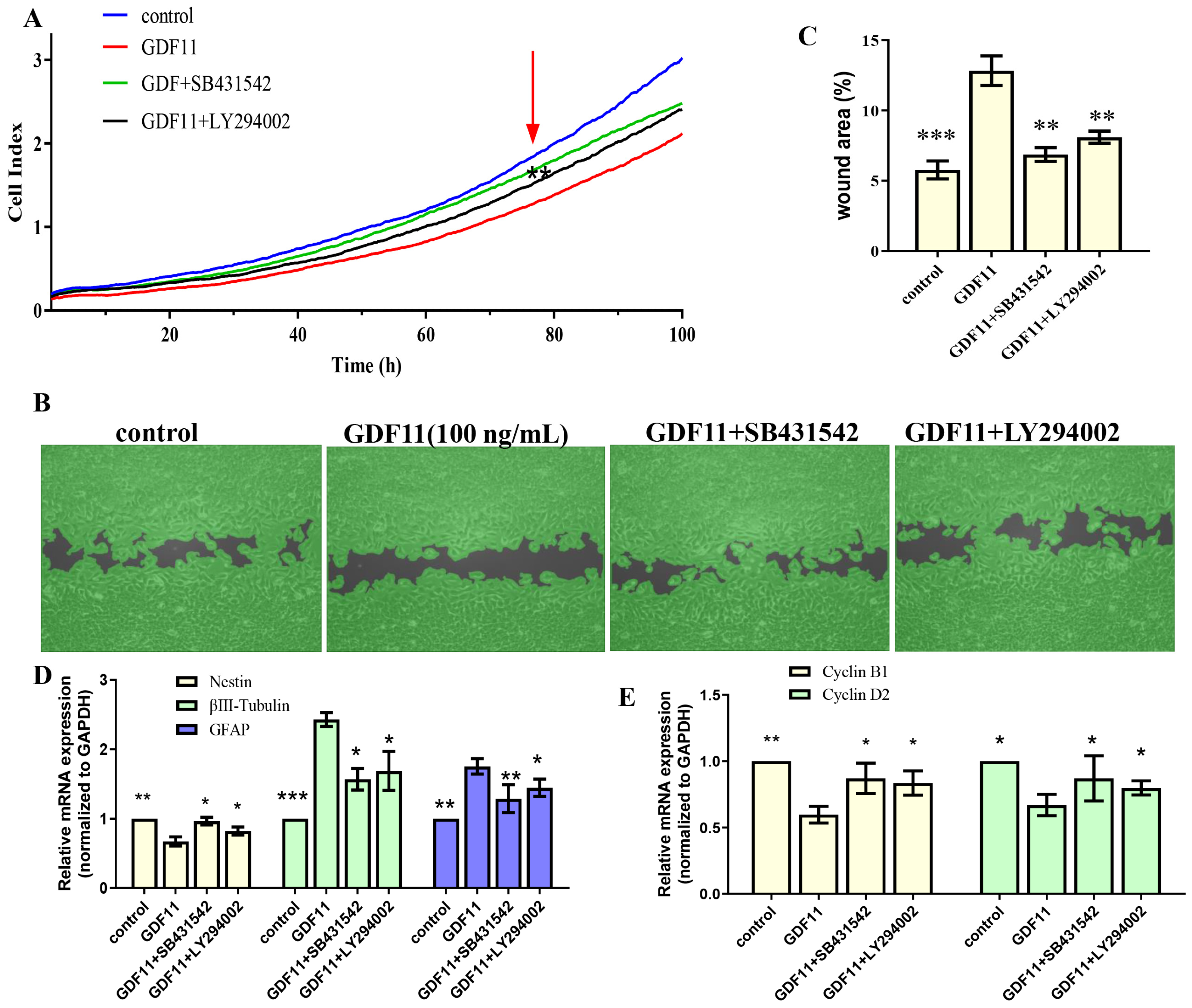Ijms 23 12279 g008 Ijms 23 12279 g008