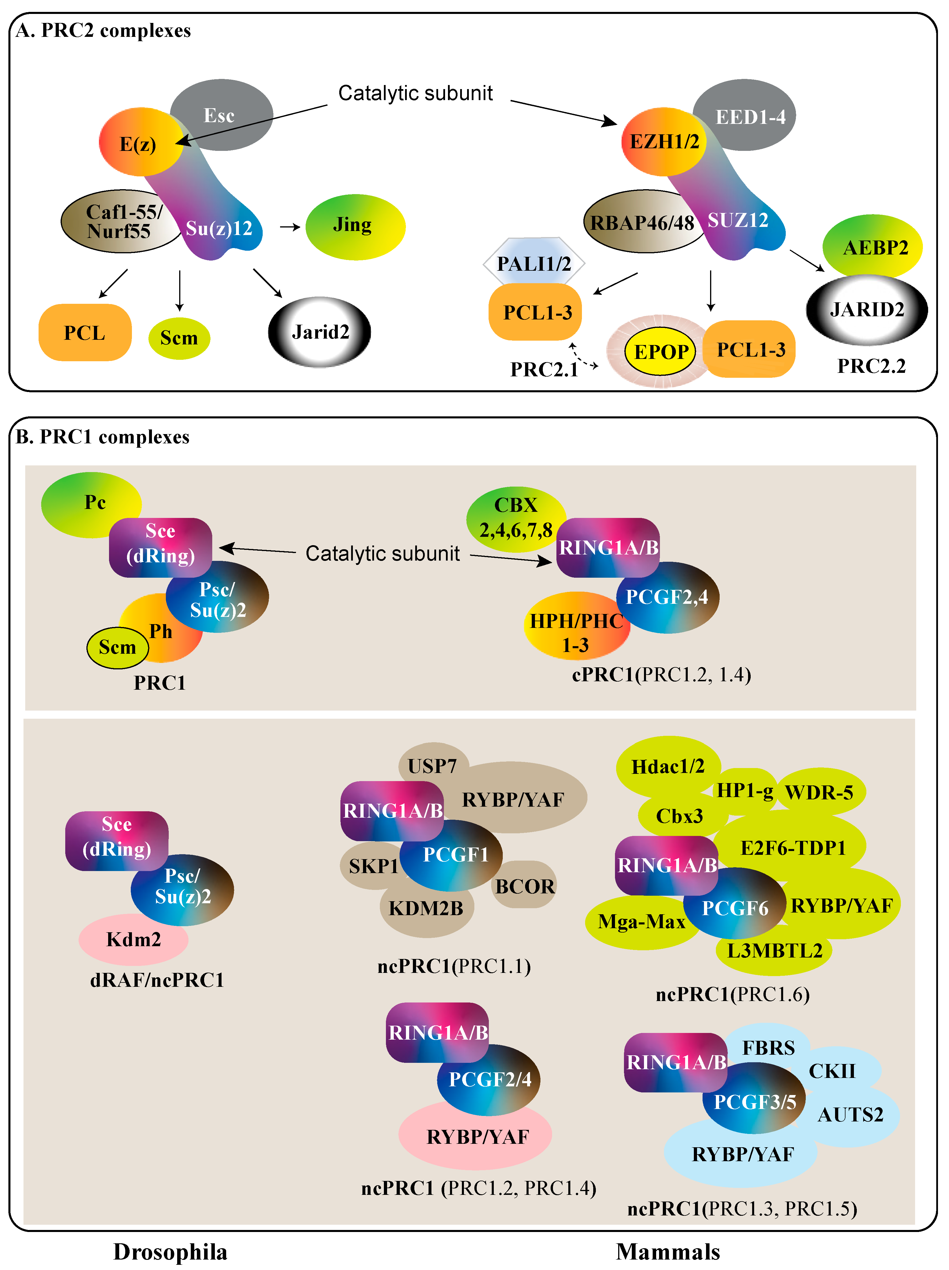 Ijms 23 12285 g001 Ijms 23 12285 g001