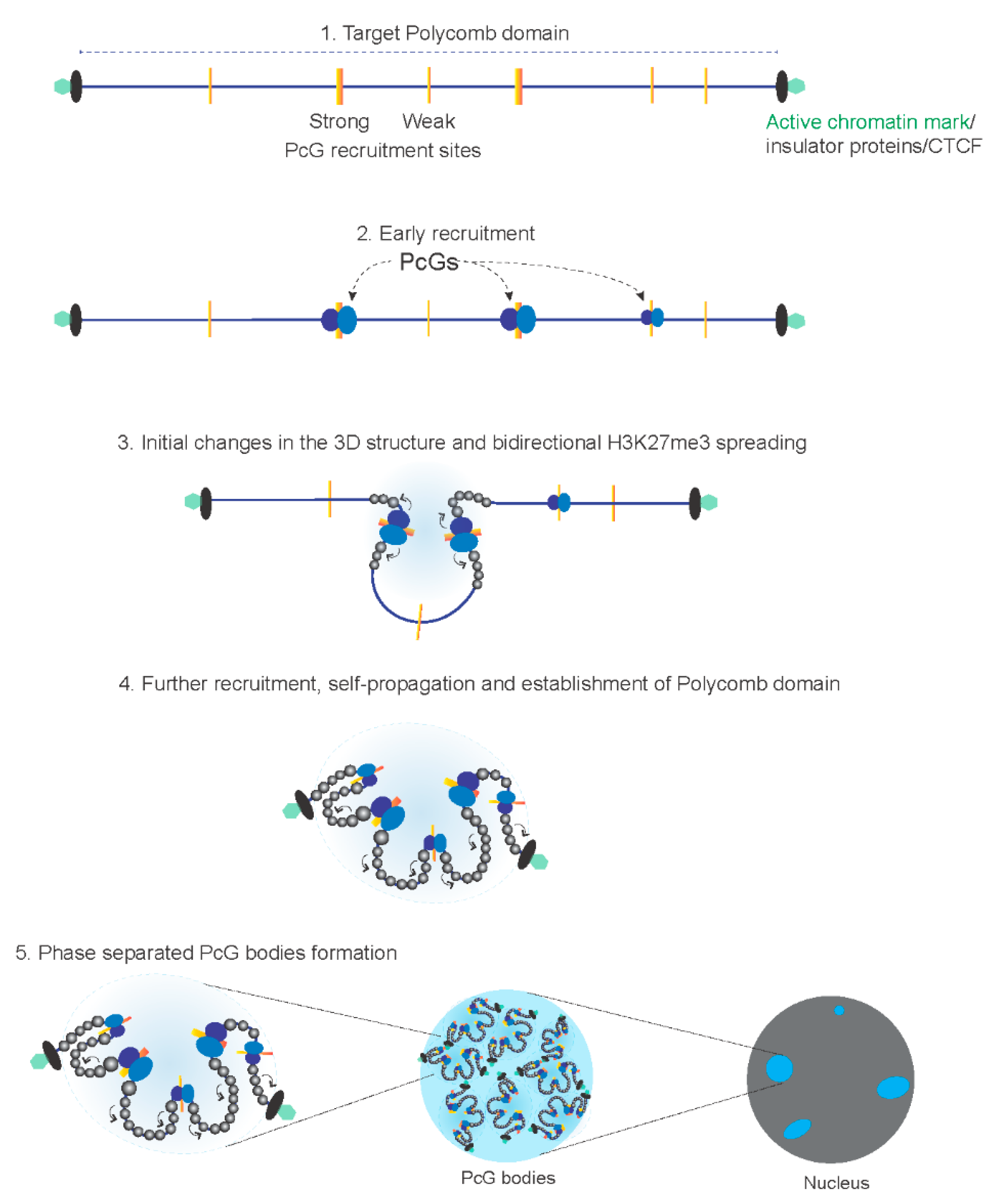 Ijms 23 12285 g002 Ijms 23 12285 g002