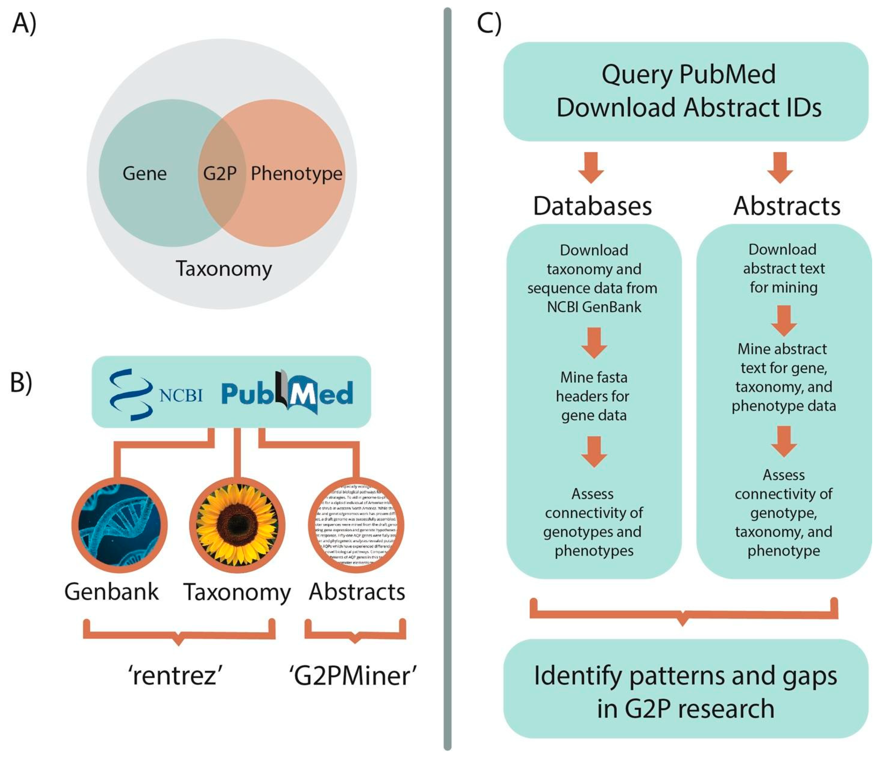 Ijms 23 12297 g005 Ijms 23 12297 g005