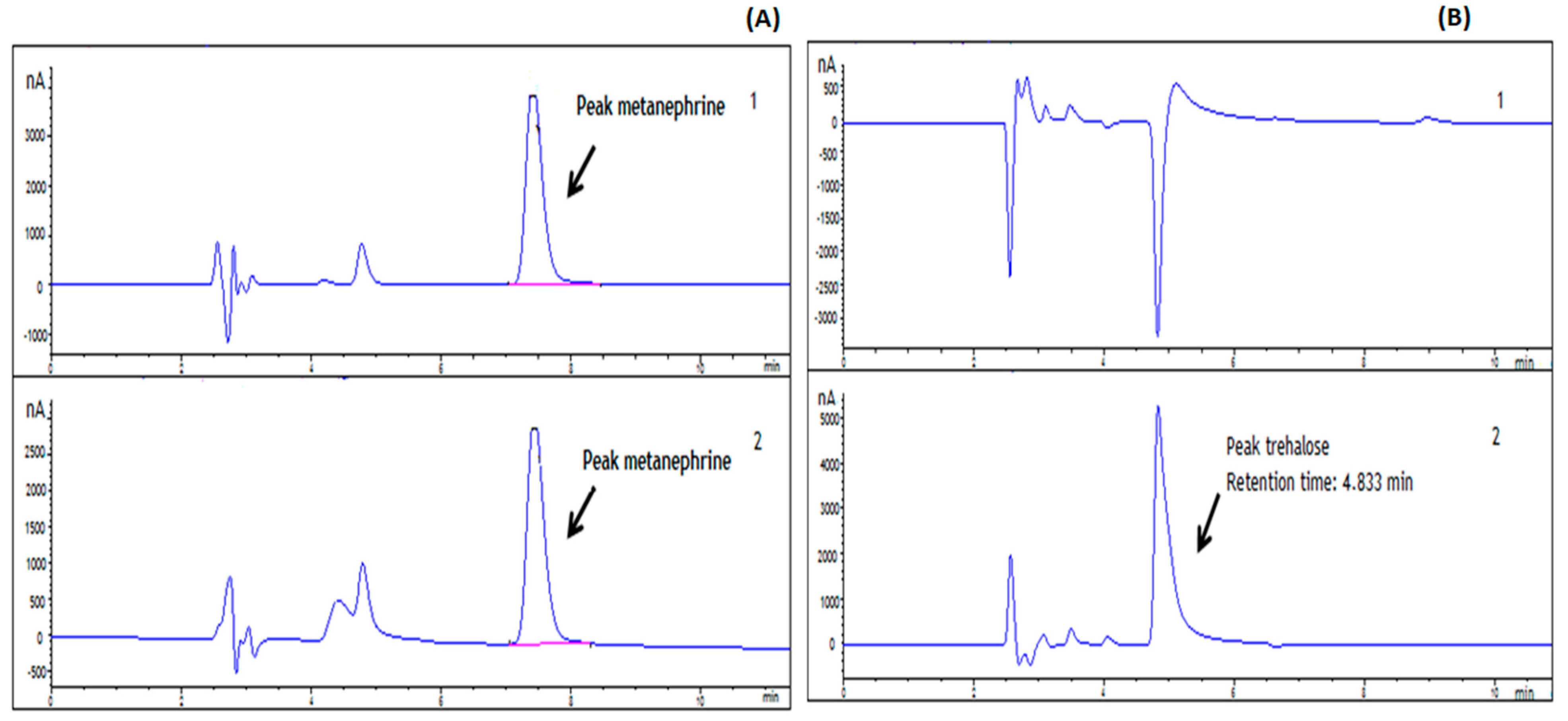 Ijms 23 12298 g002 Ijms 23 12298 g002