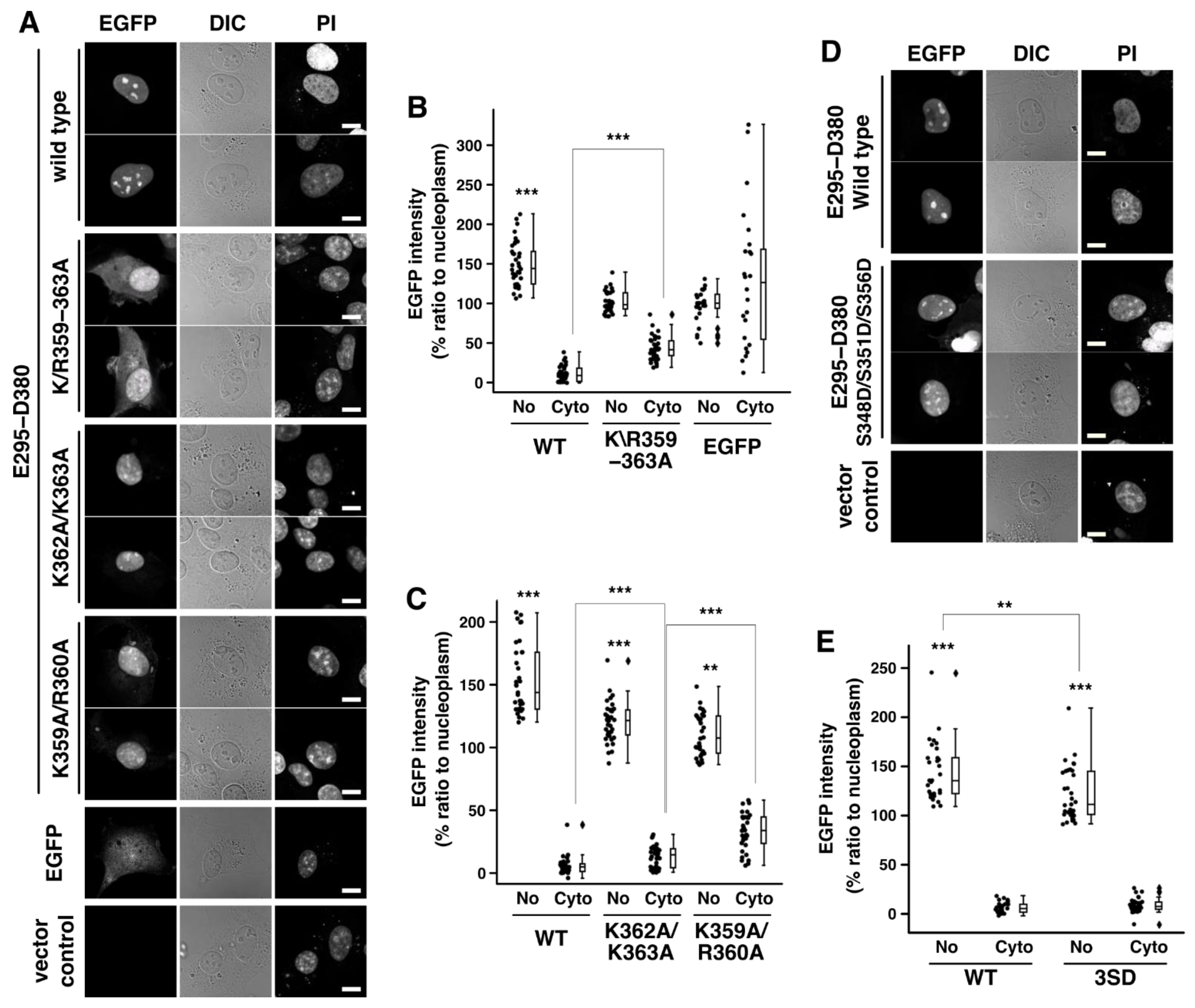 Ijms 23 12300 g002 Ijms 23 12300 g002