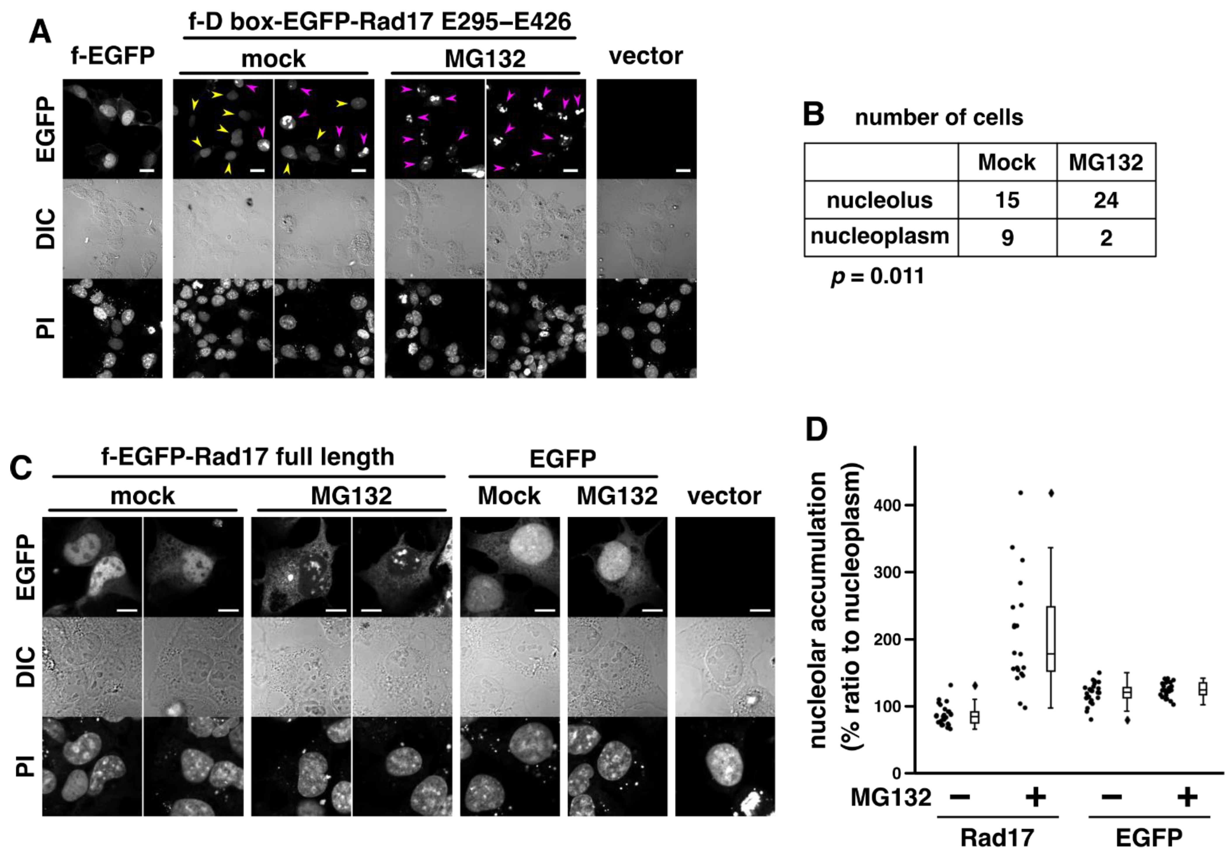 Ijms 23 12300 g003 Ijms 23 12300 g003