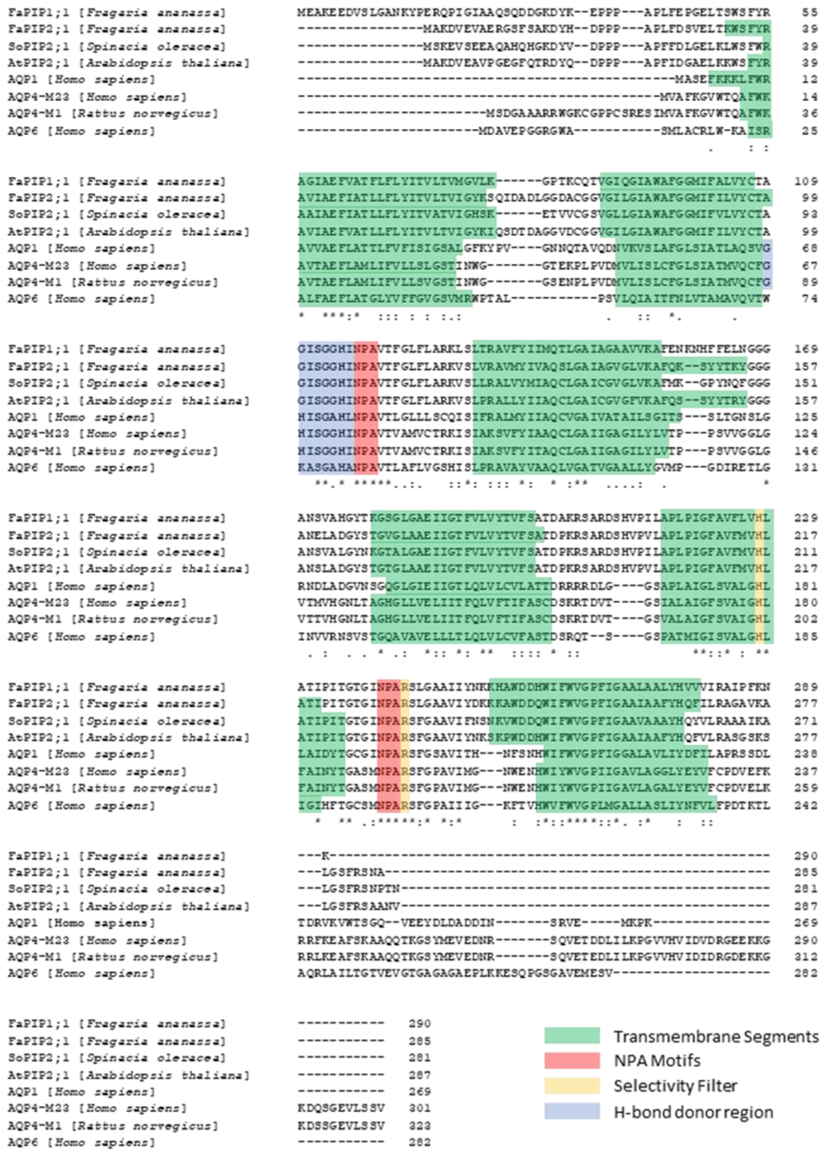 Ijms 23 12317 g001 Ijms 23 12317 g001