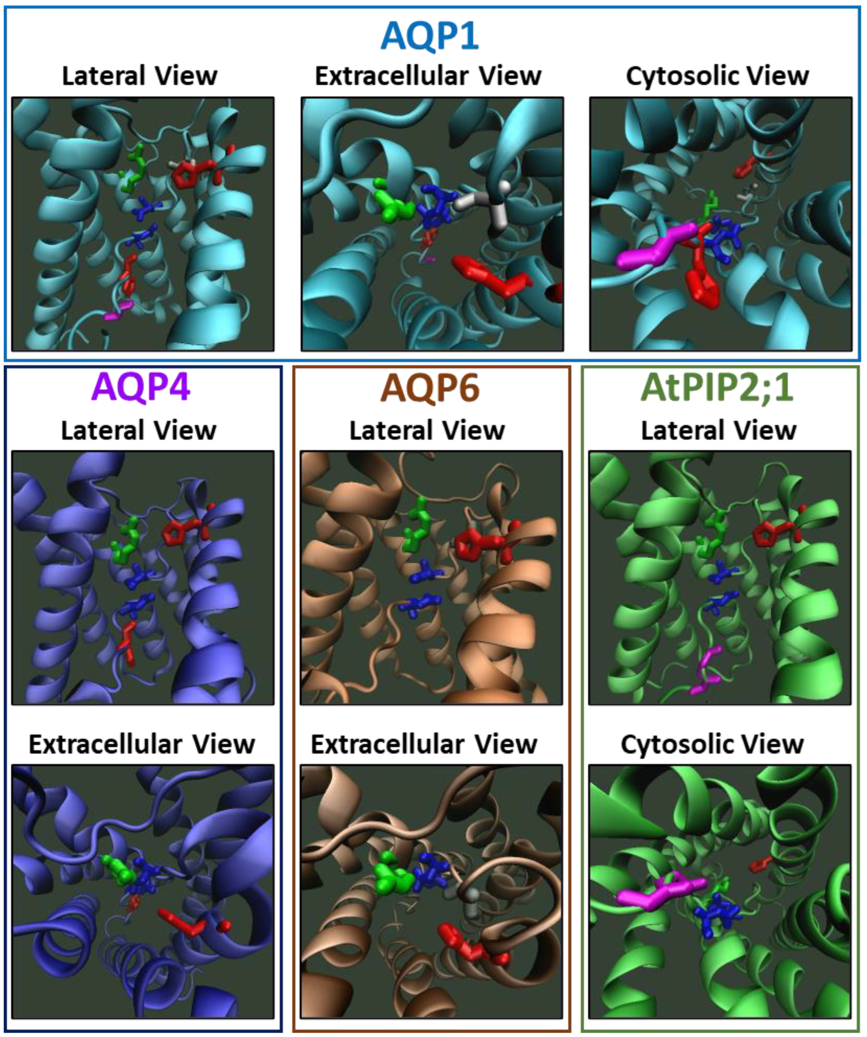 Ijms 23 12317 g006 Ijms 23 12317 g006