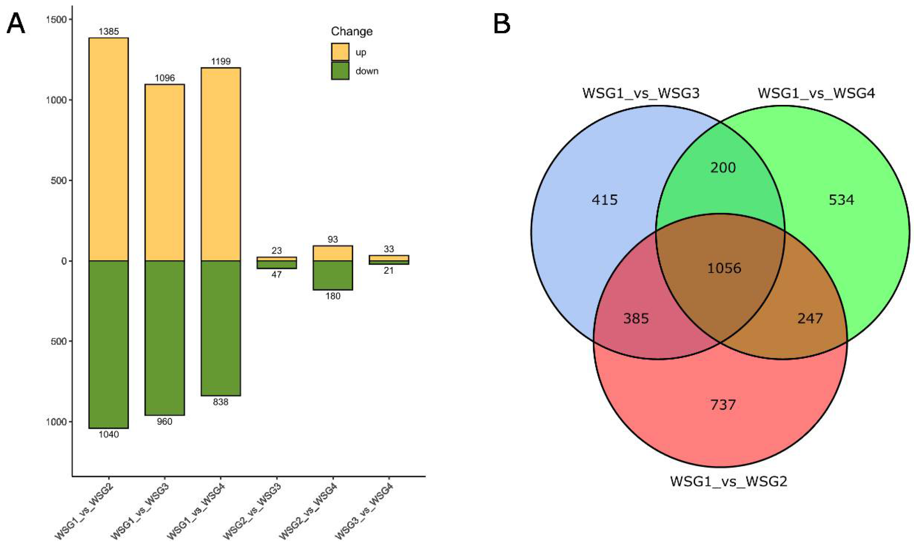 Ijms 23 12322 g001 Ijms 23 12322 g001