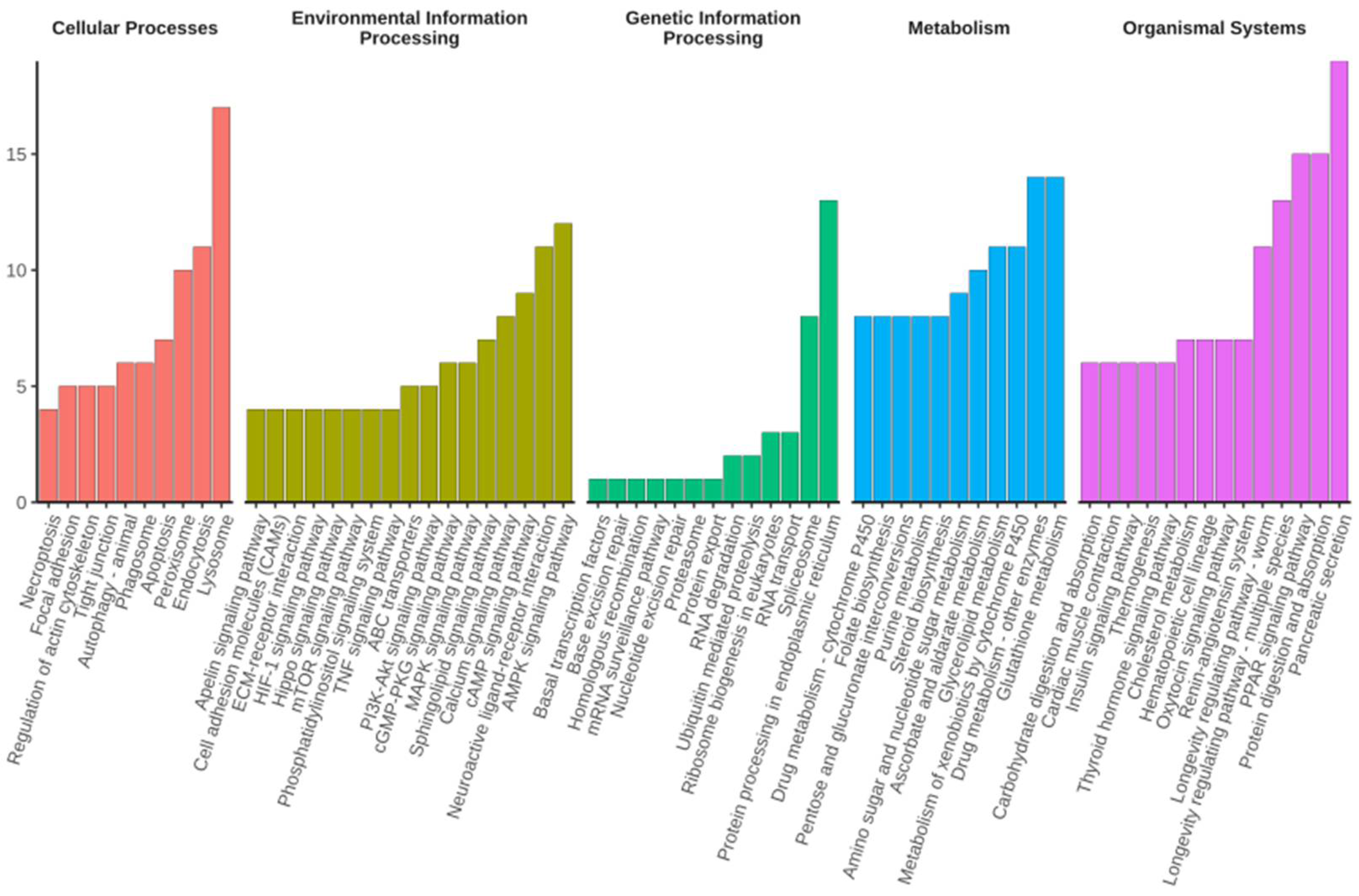 Ijms 23 12322 g003 Ijms 23 12322 g003