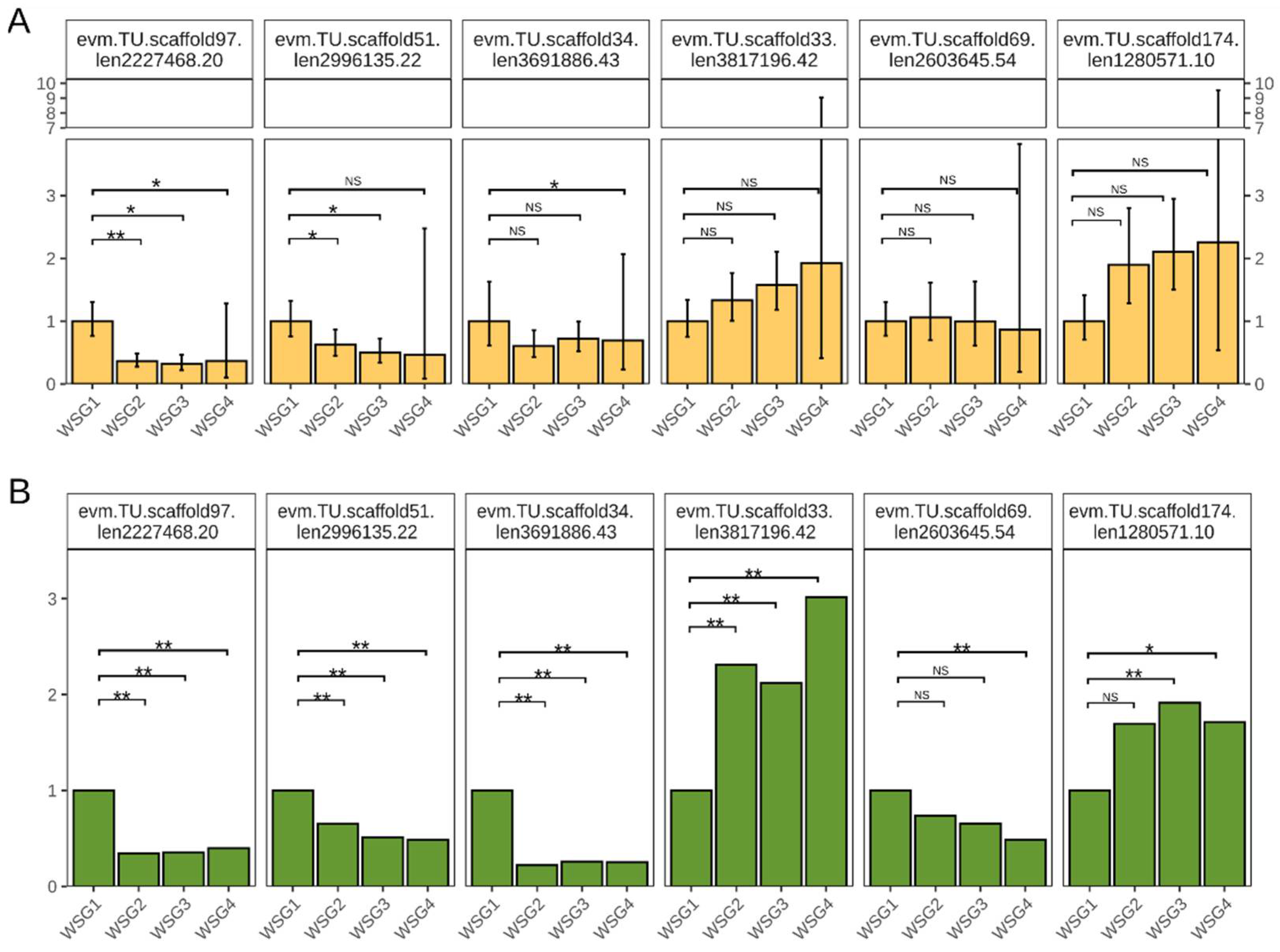 Ijms 23 12322 g007 Ijms 23 12322 g007