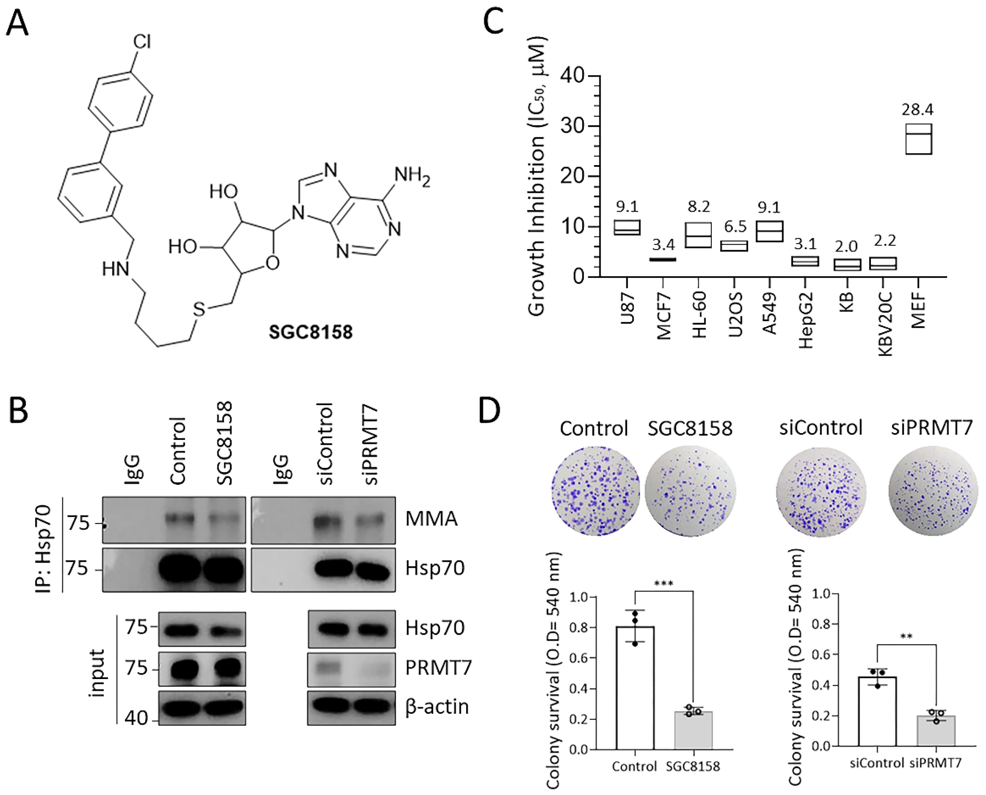 Ijms 23 12323 g001 Ijms 23 12323 g001