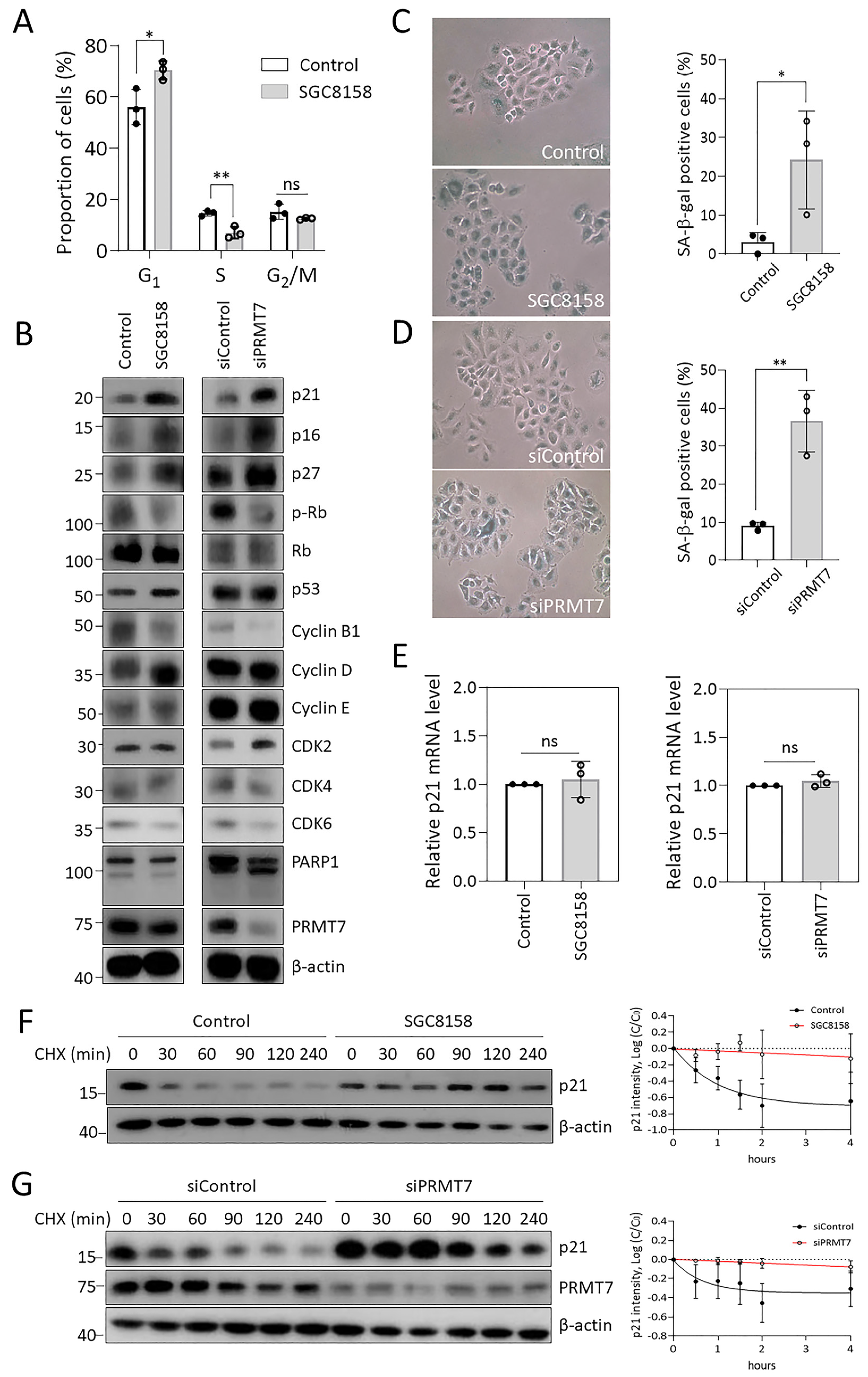 Ijms 23 12323 g002 Ijms 23 12323 g002