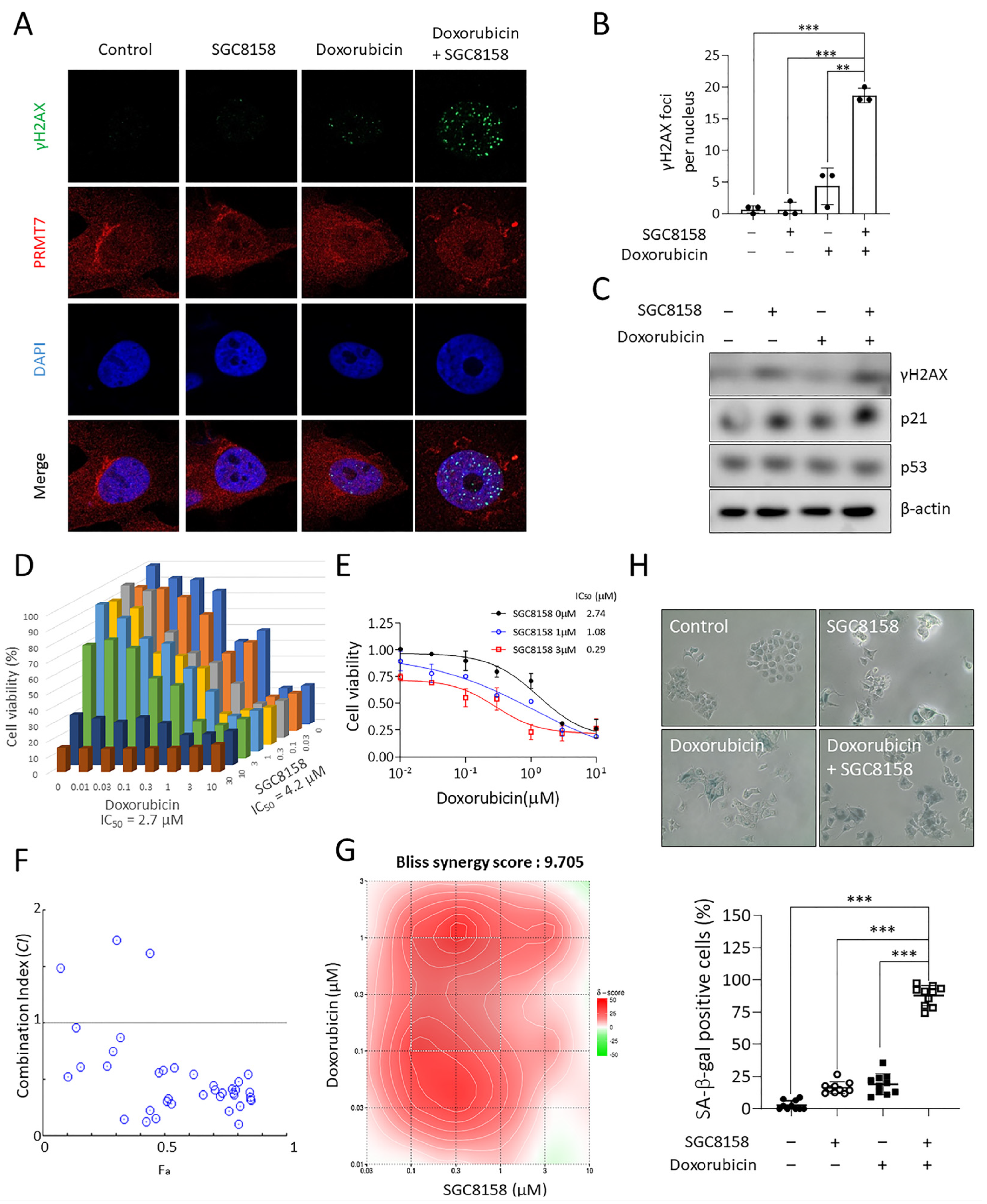 Ijms 23 12323 g005 Ijms 23 12323 g005