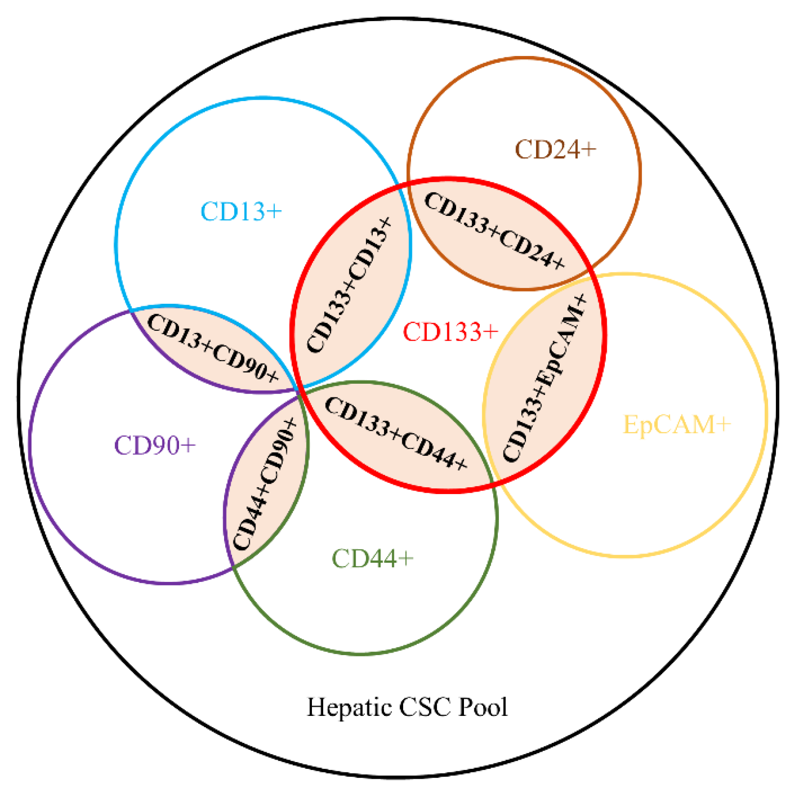 Ijms 23 12327 g001 Ijms 23 12327 g001