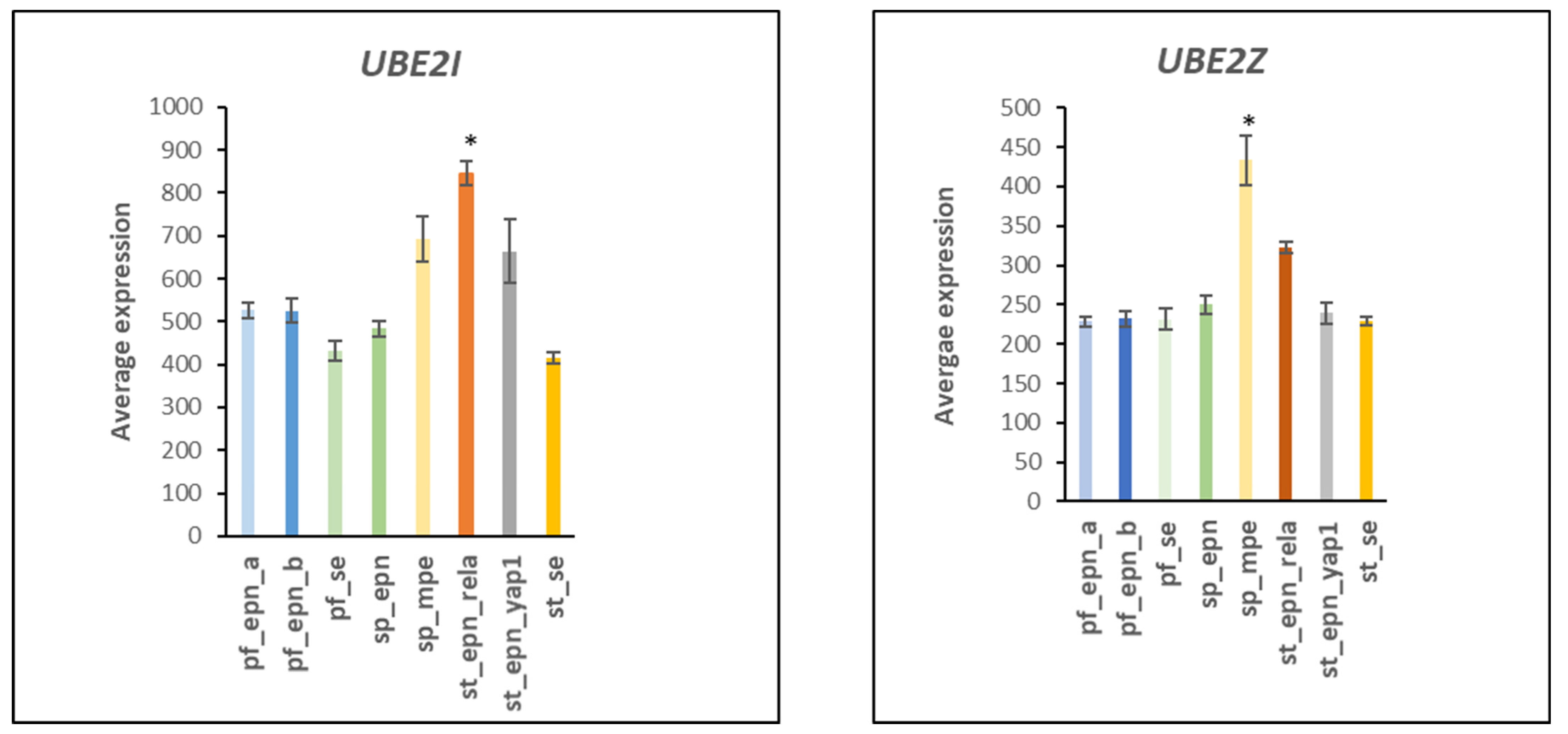 Ijms 23 12330 g004 Ijms 23 12330 g004