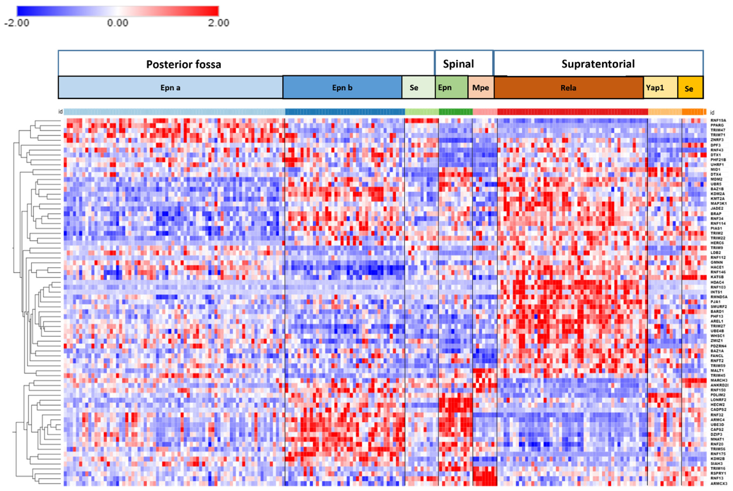 Ijms 23 12330 g005 Ijms 23 12330 g005