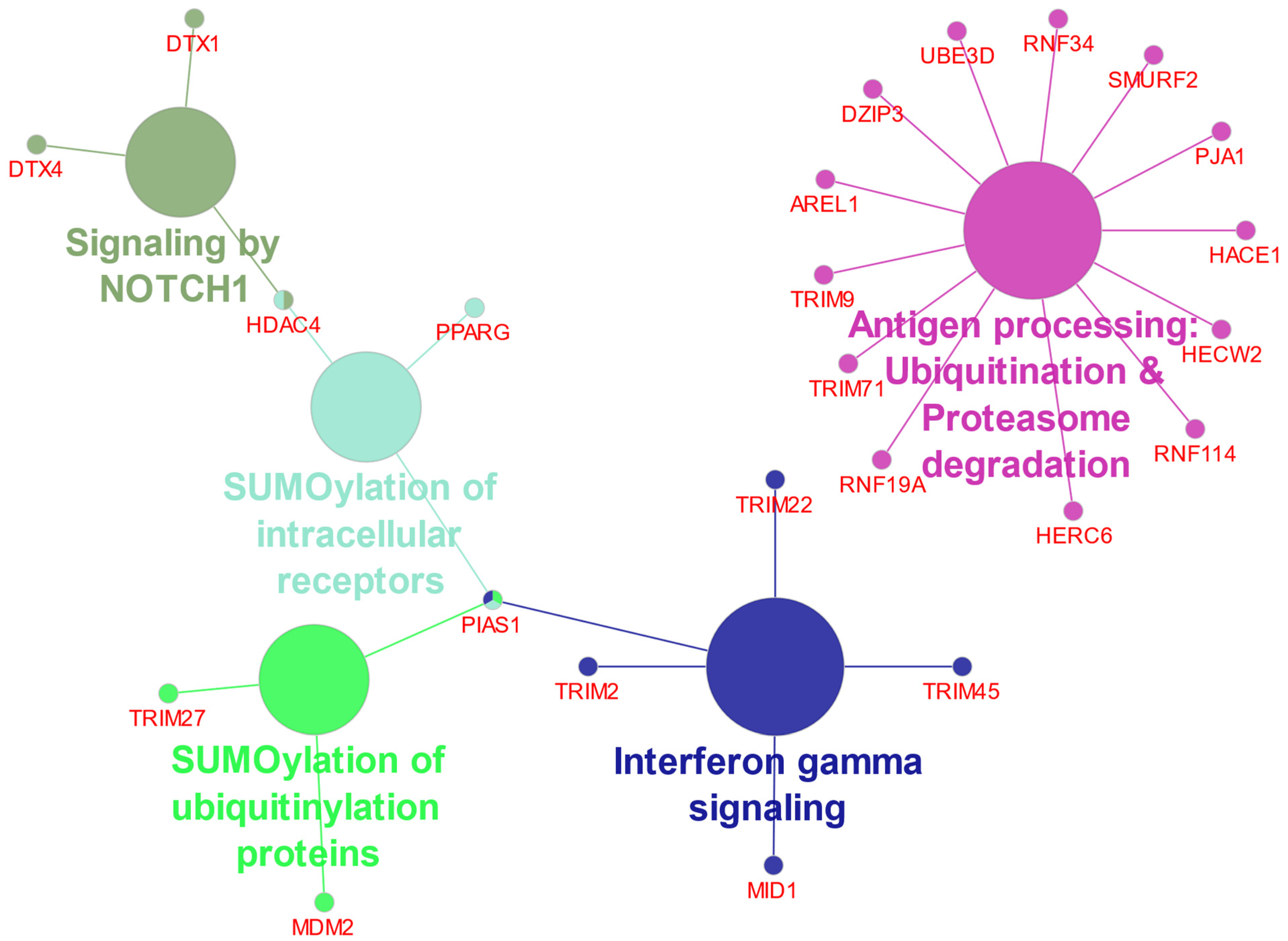 Ijms 23 12330 g006 Ijms 23 12330 g006