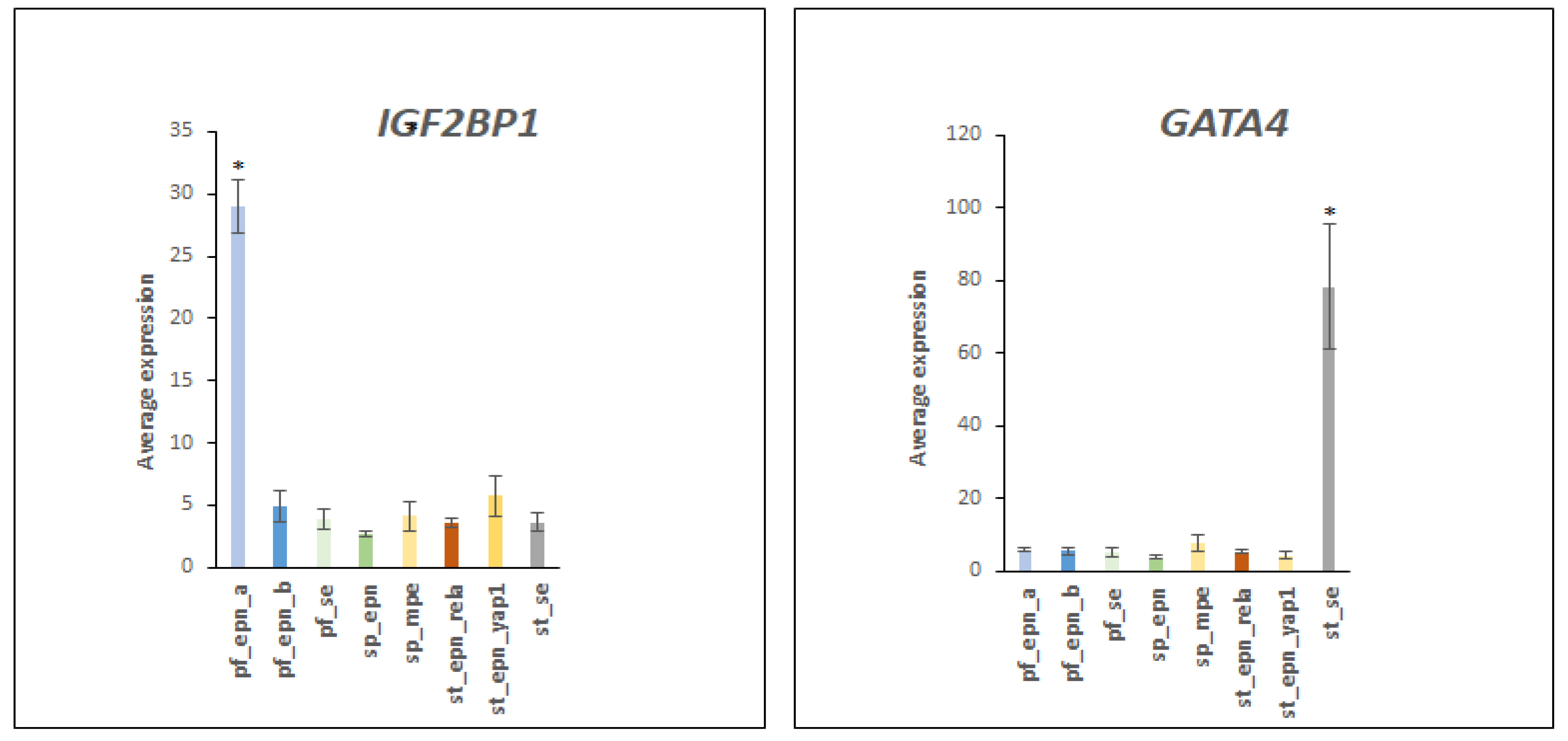 Ijms 23 12330 g013 Ijms 23 12330 g013