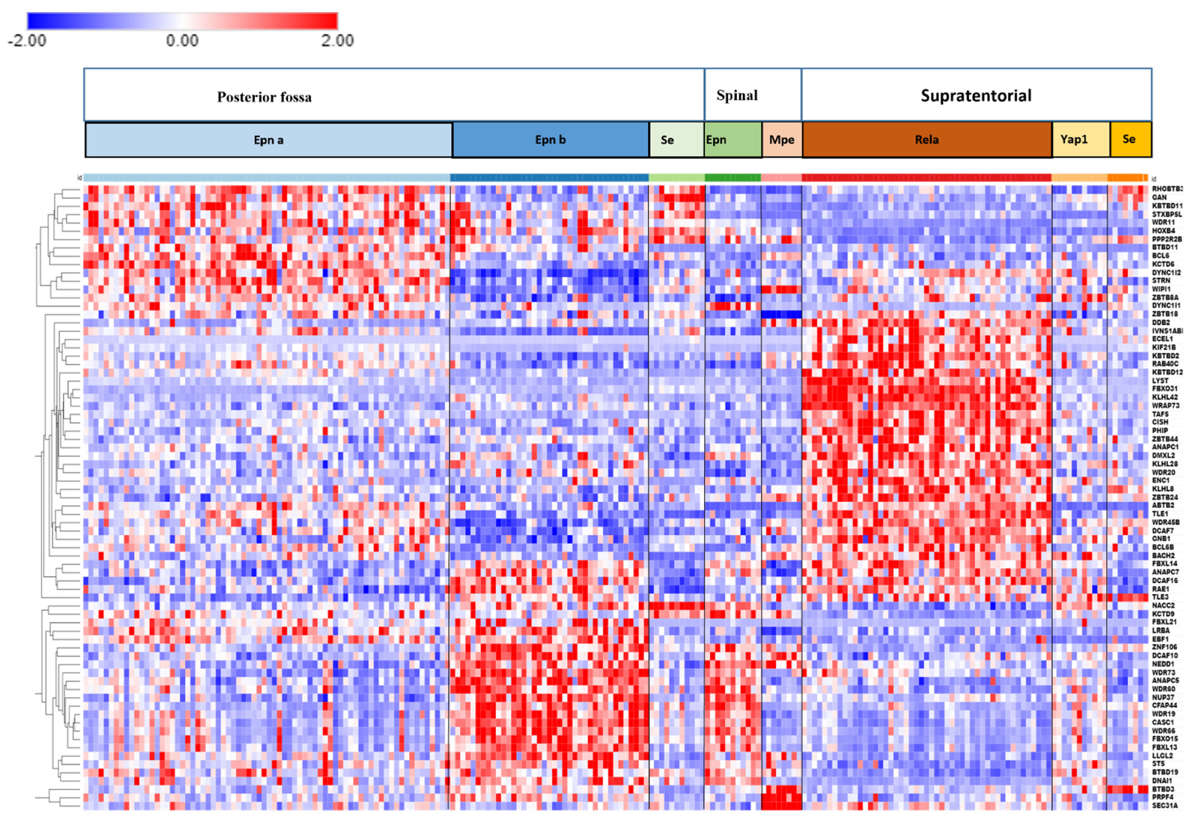 Ijms 23 12330 g015 Ijms 23 12330 g015