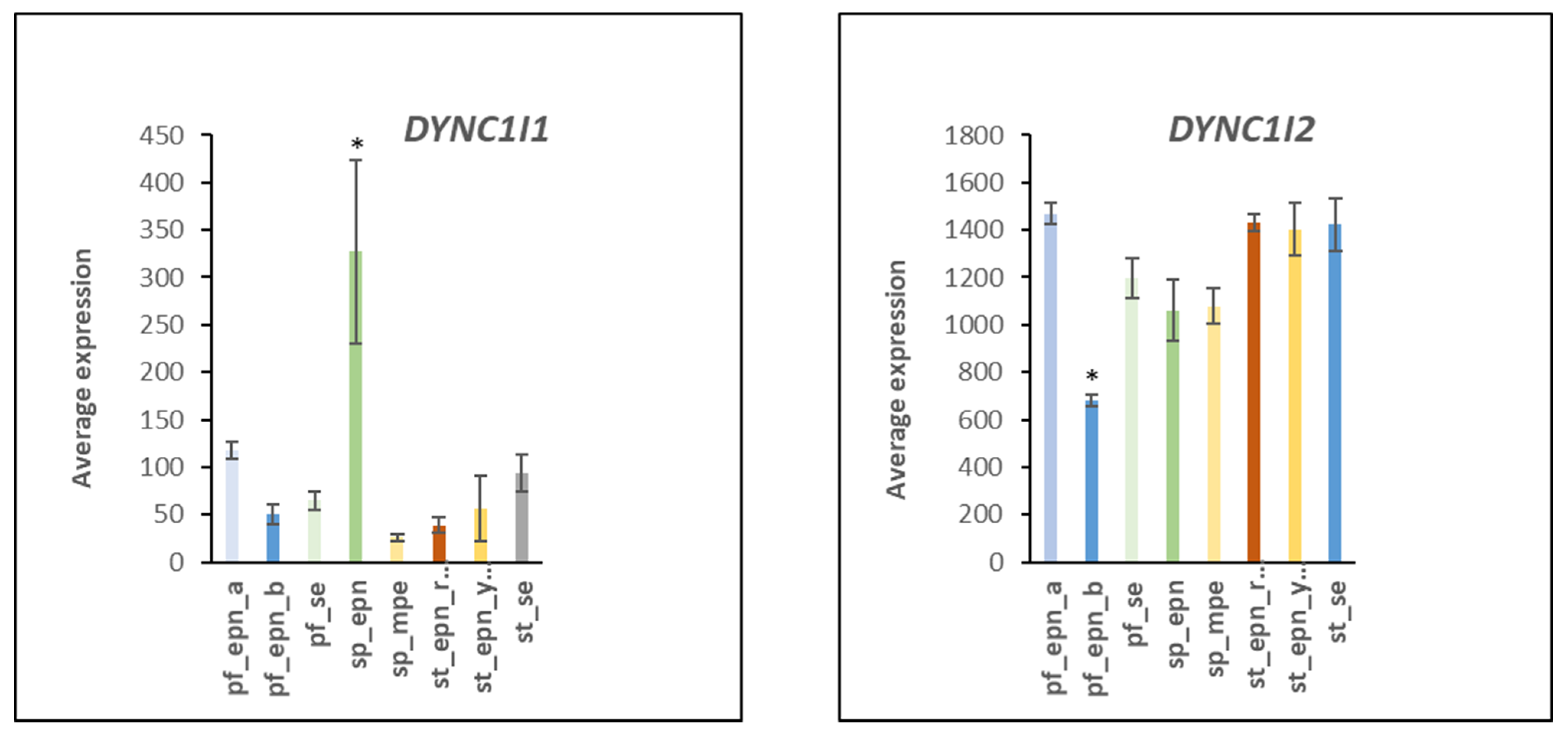 Ijms 23 12330 g021 Ijms 23 12330 g021