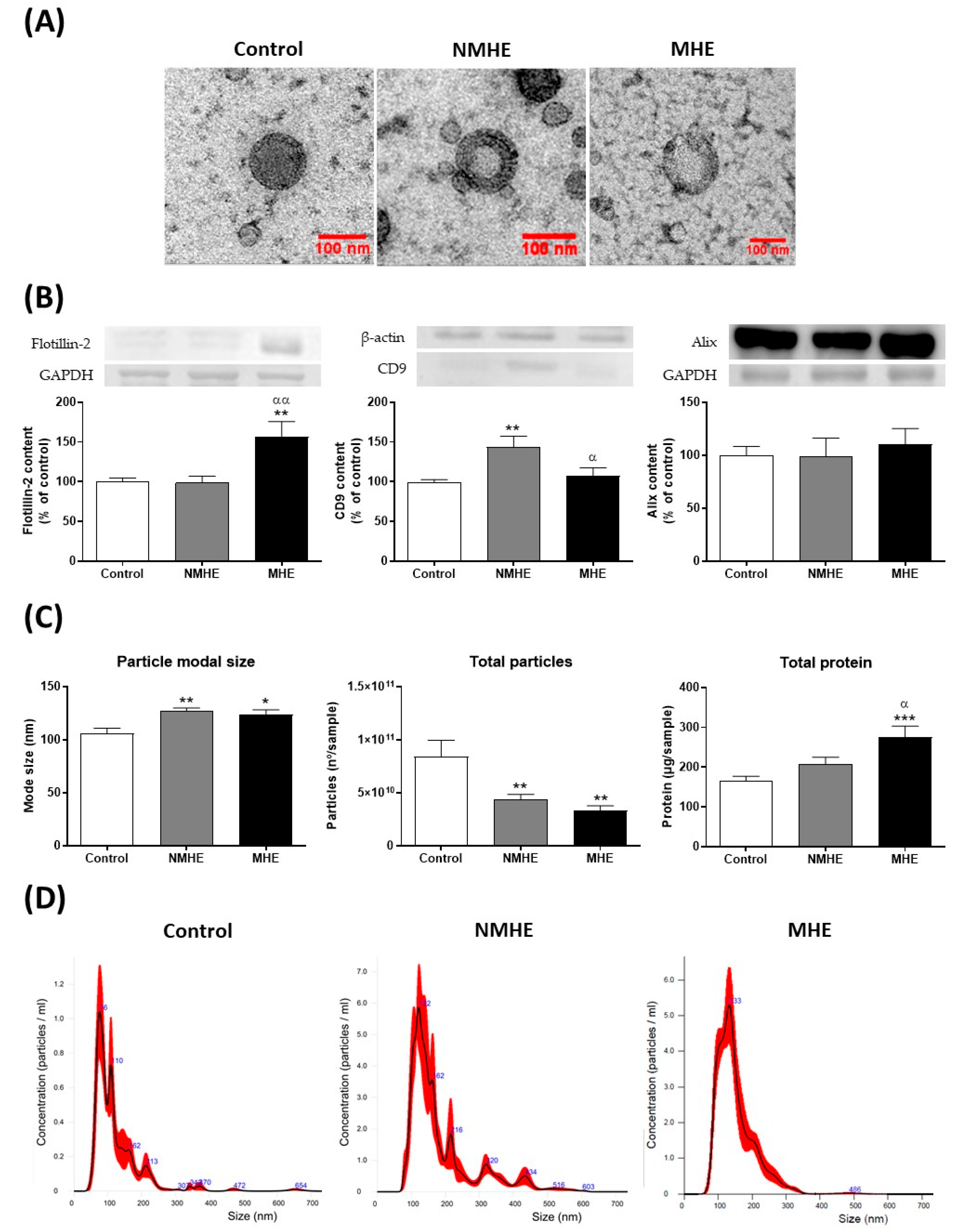 Ijms 23 12335 g001 Ijms 23 12335 g001