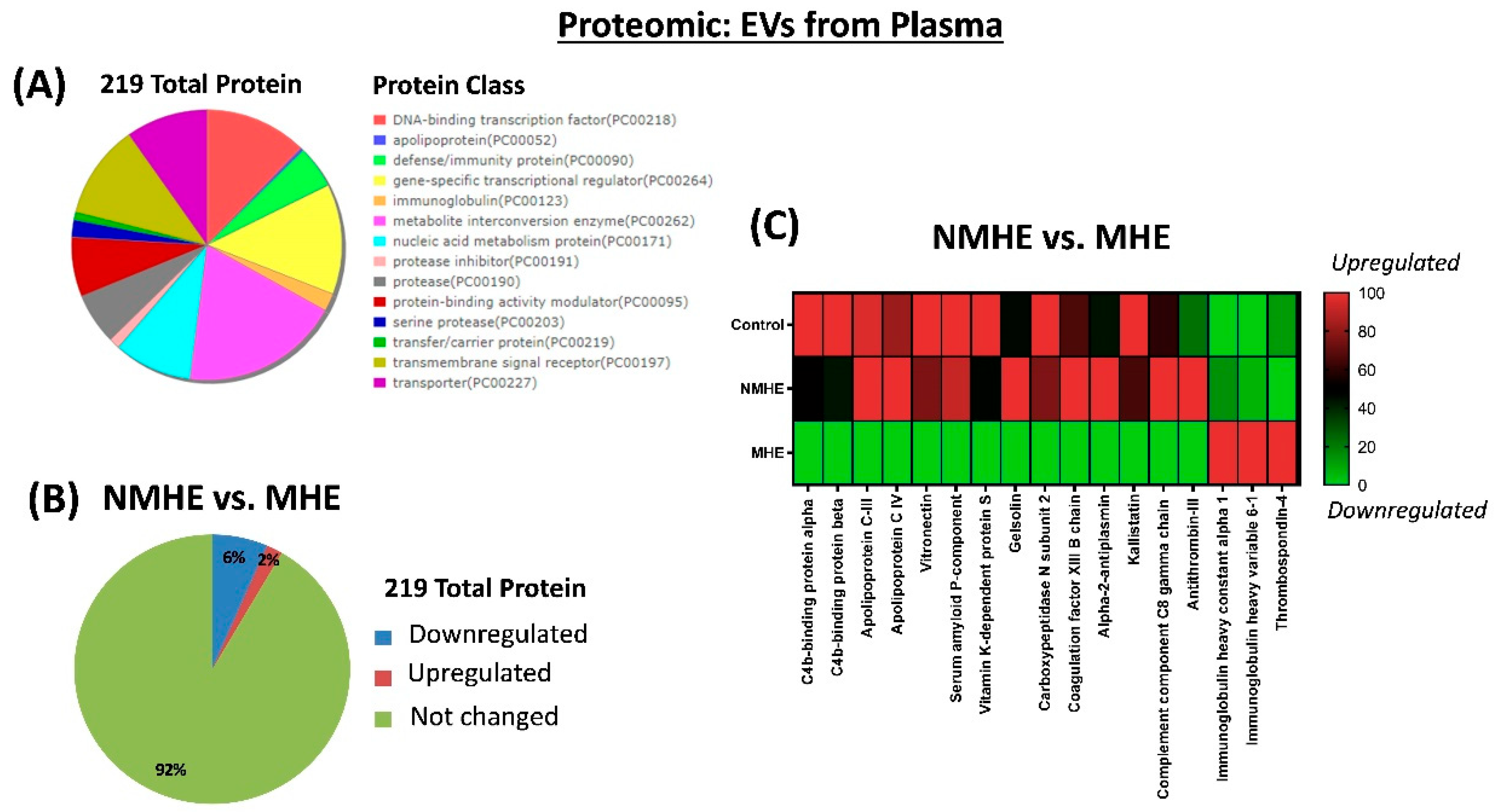 Ijms 23 12335 g002 Ijms 23 12335 g002