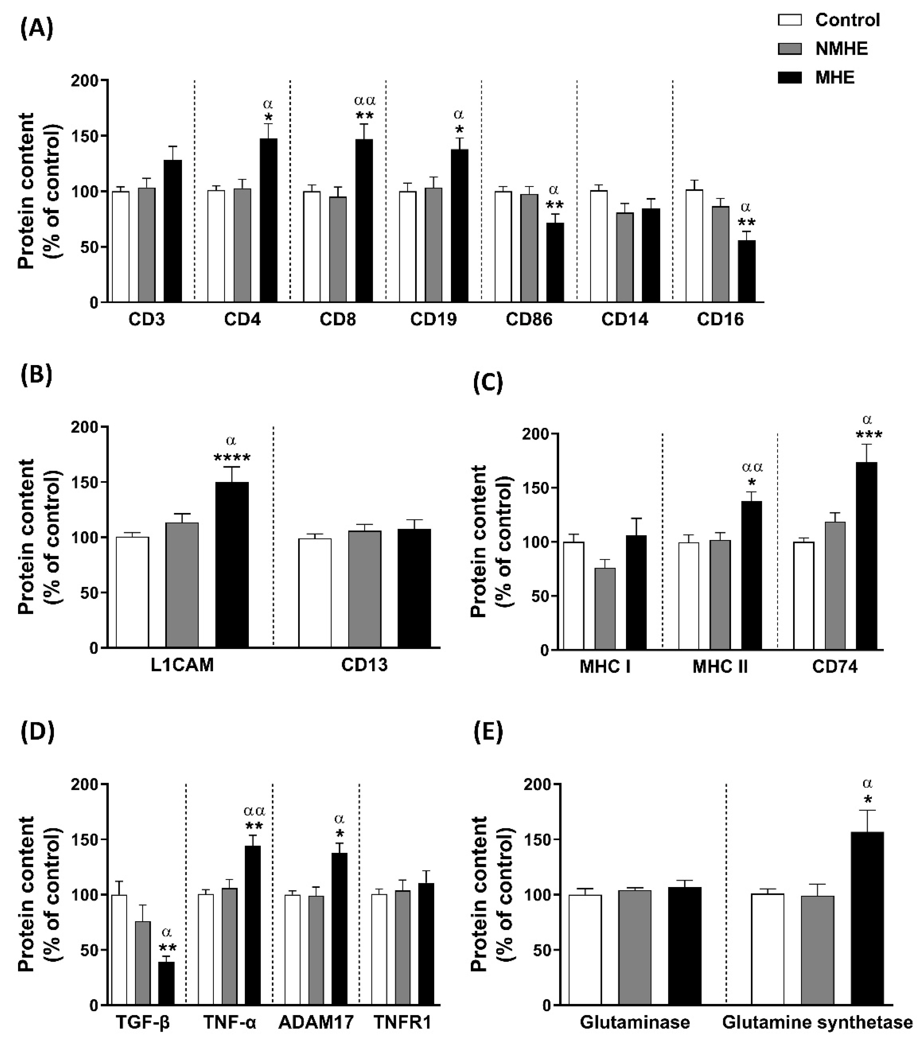 Ijms 23 12335 g004 Ijms 23 12335 g004