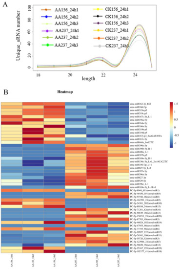 Identification of miRNAs Mediating Seed Storability of Maize
