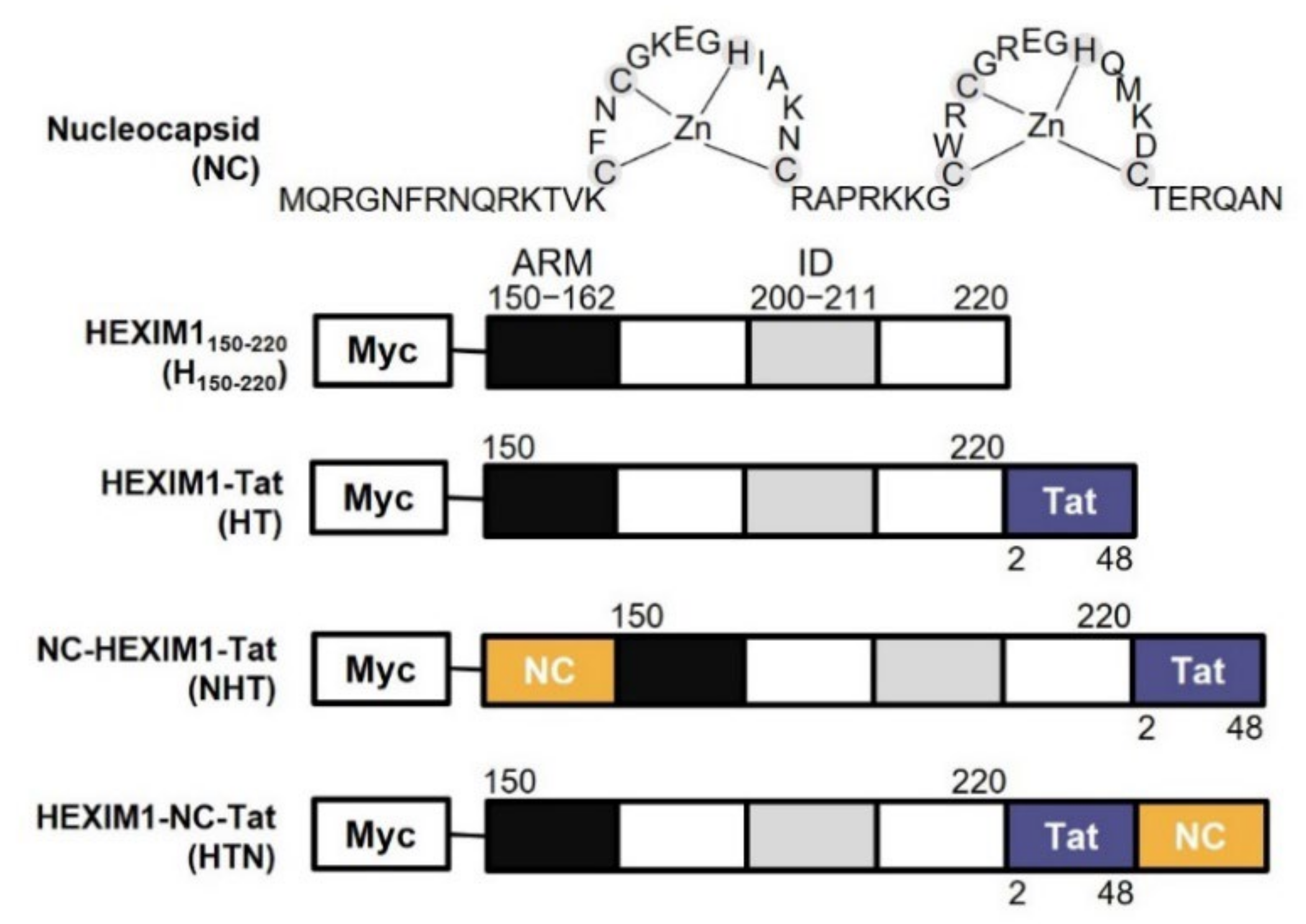 Ijms 23 12340 g001 Ijms 23 12340 g001