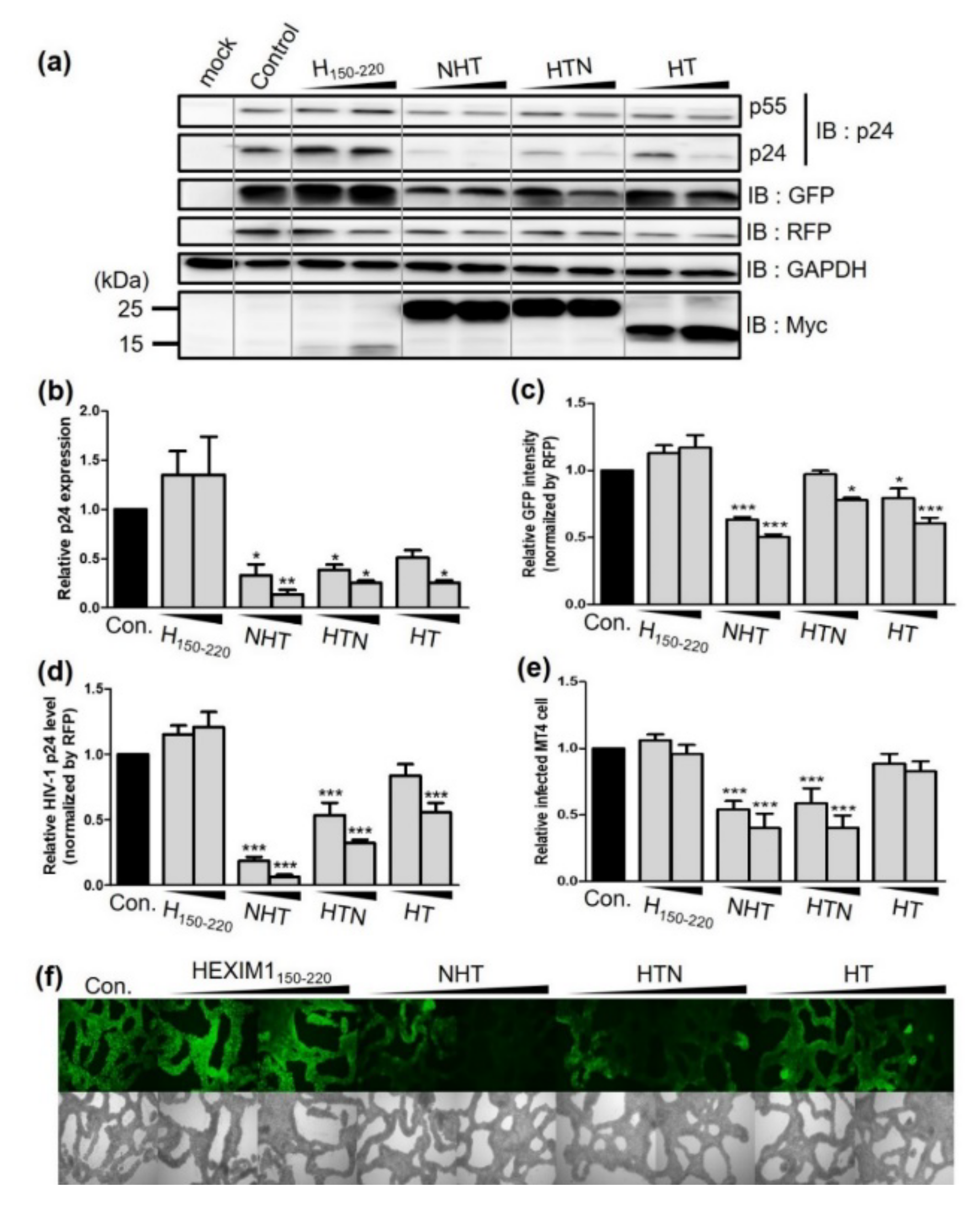 Ijms 23 12340 g002 Ijms 23 12340 g002