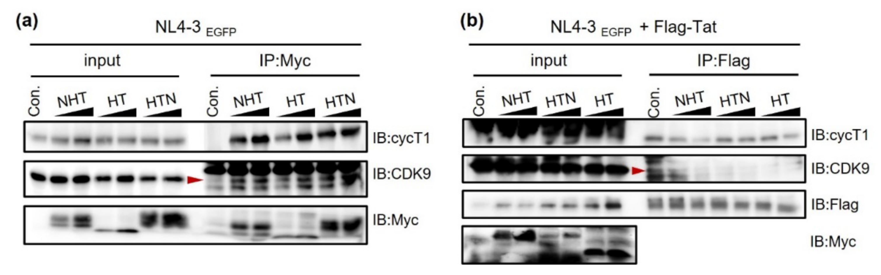 Ijms 23 12340 g004 Ijms 23 12340 g004