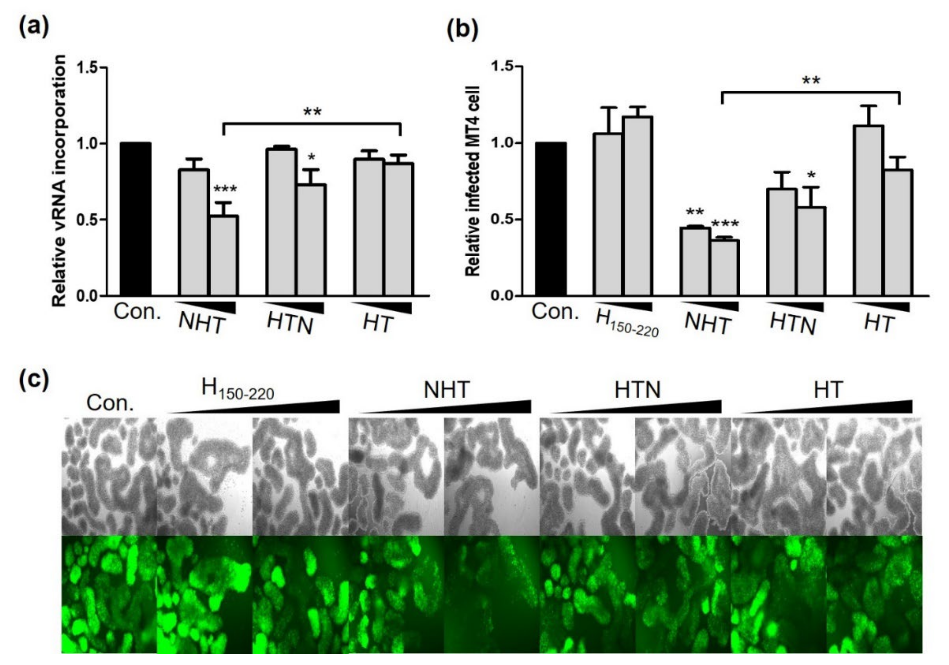 Ijms 23 12340 g006 Ijms 23 12340 g006