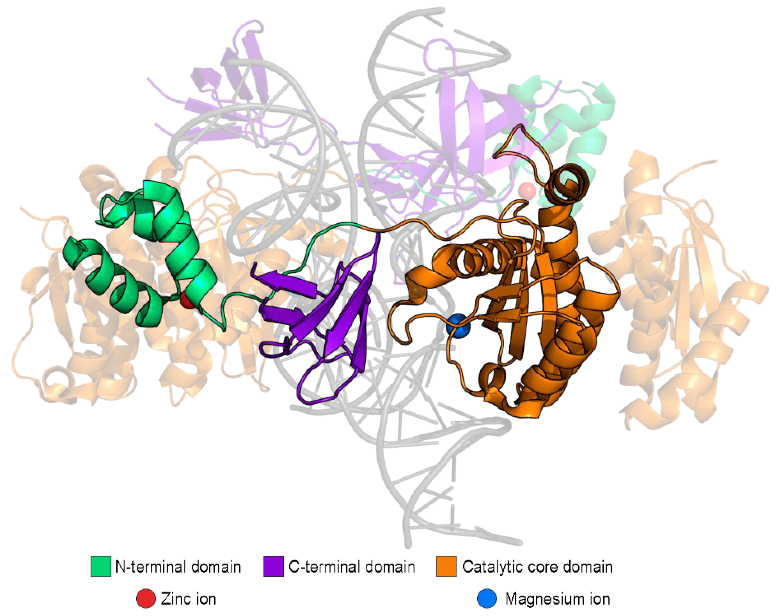 Ijms 23 12341 g002 Ijms 23 12341 g002