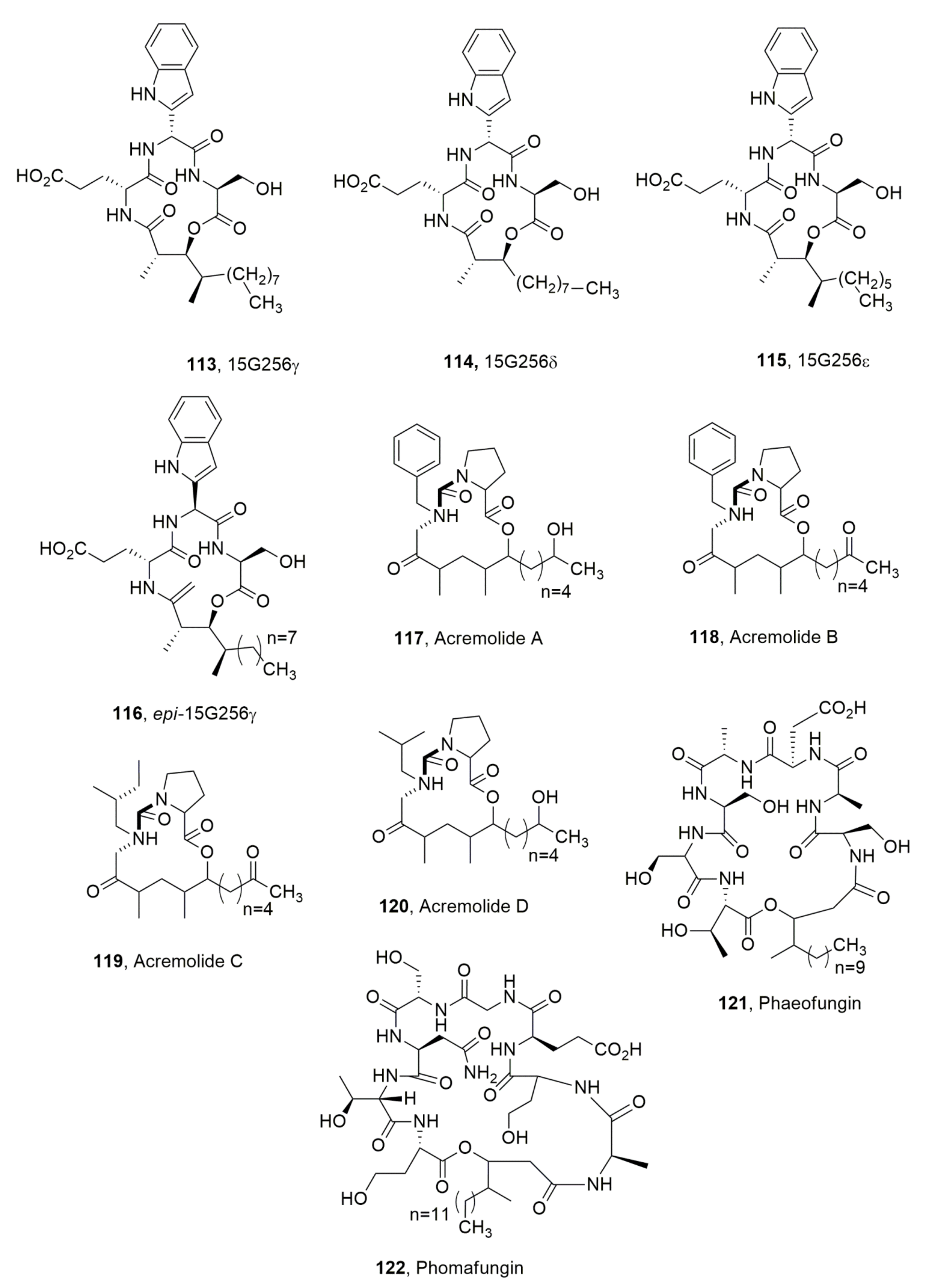 Ijms 23 12342 g013 Ijms 23 12342 g013