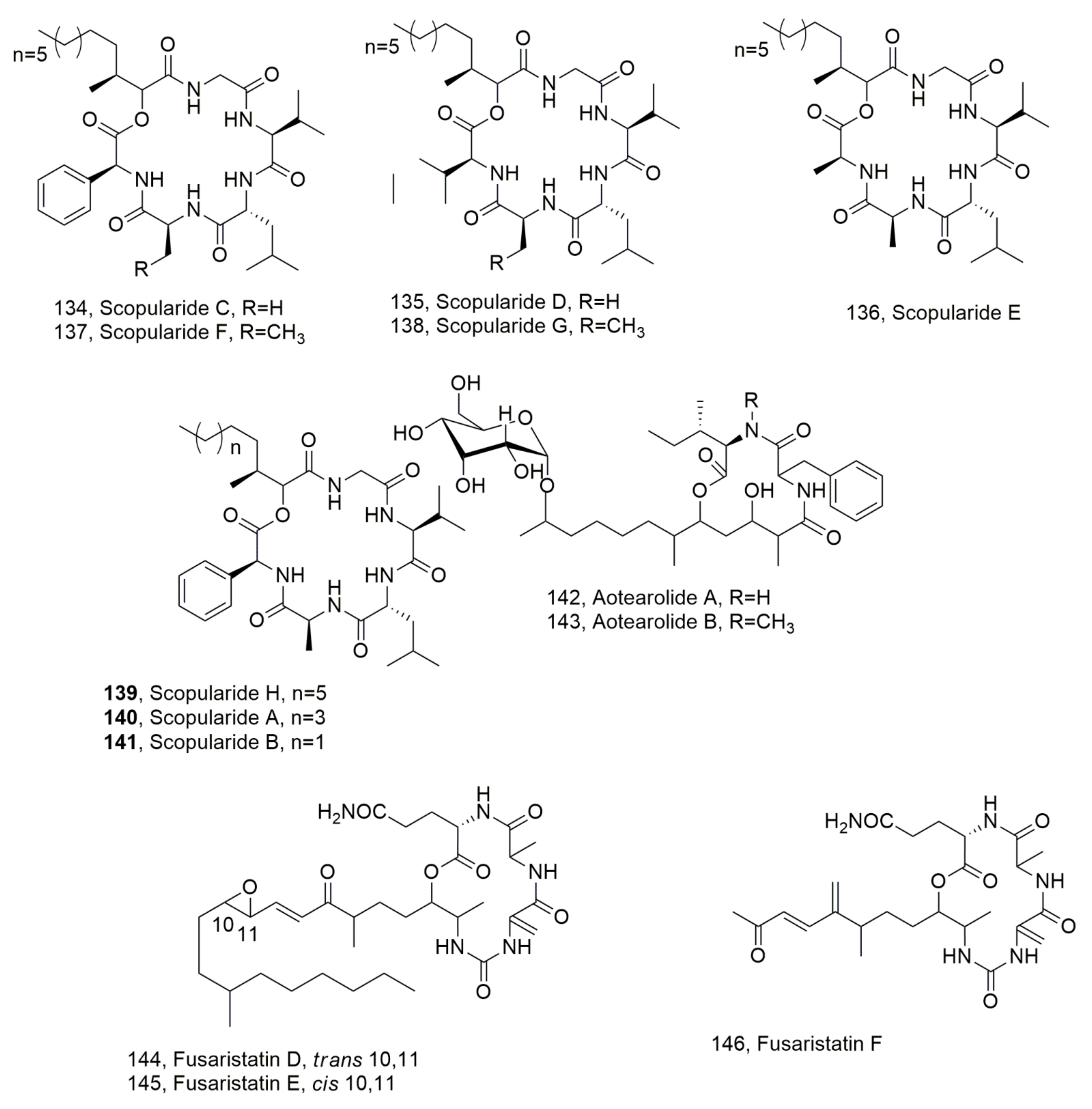 Ijms 23 12342 g015 Ijms 23 12342 g015