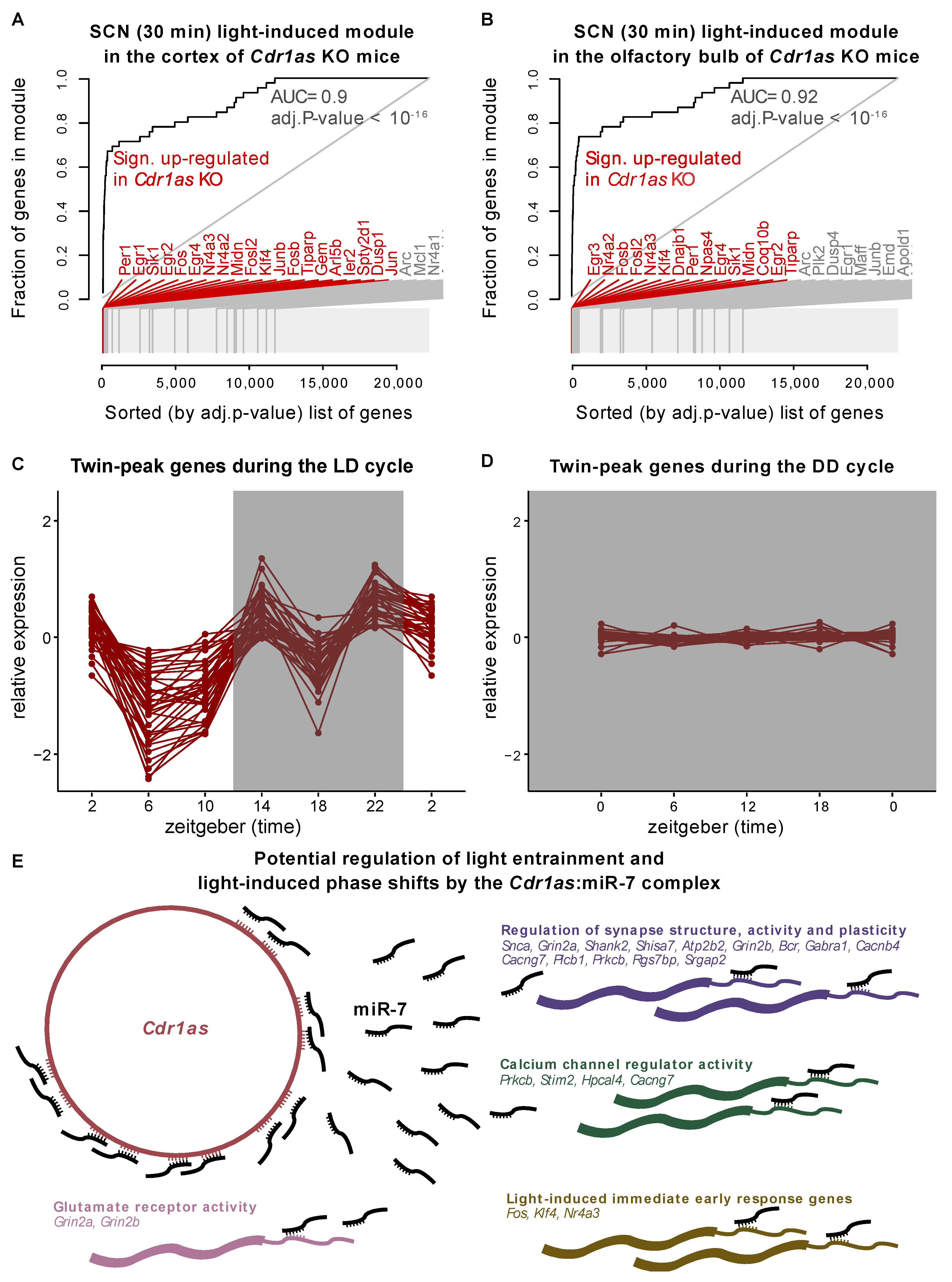 Ijms 23 12347 g002 Ijms 23 12347 g002
