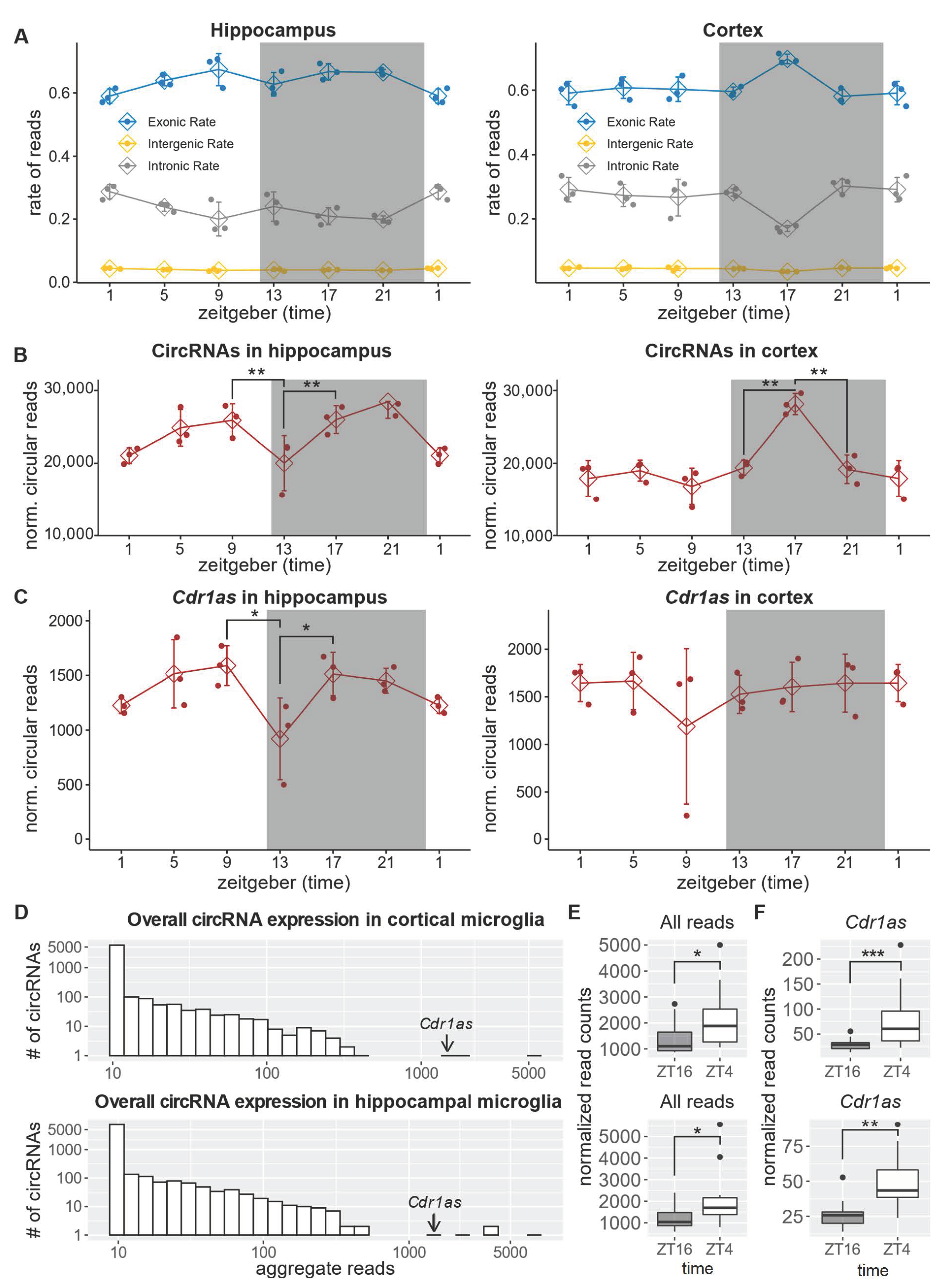Ijms 23 12347 g003 Ijms 23 12347 g003