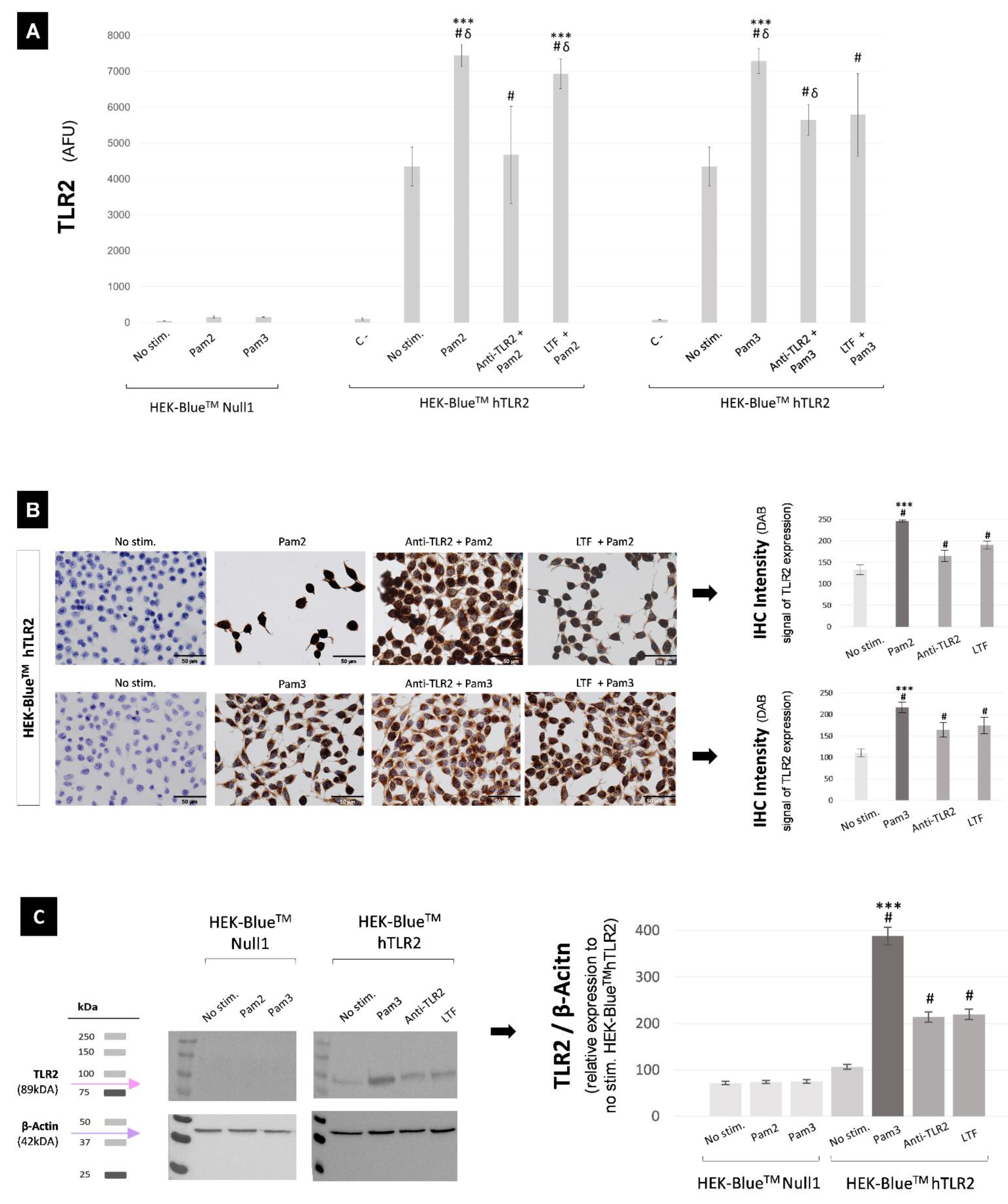 Ijms 23 12350 g004 Ijms 23 12350 g004